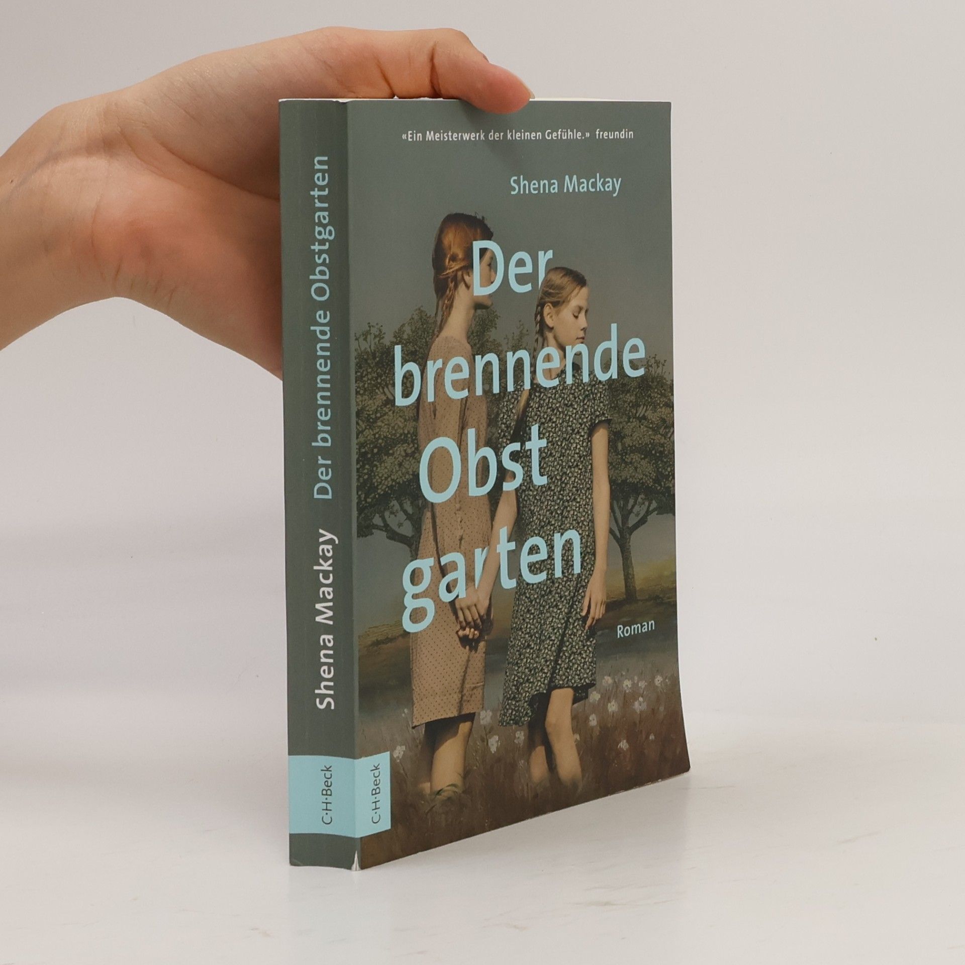 Shena Mackay Der brennende Obstgarten
