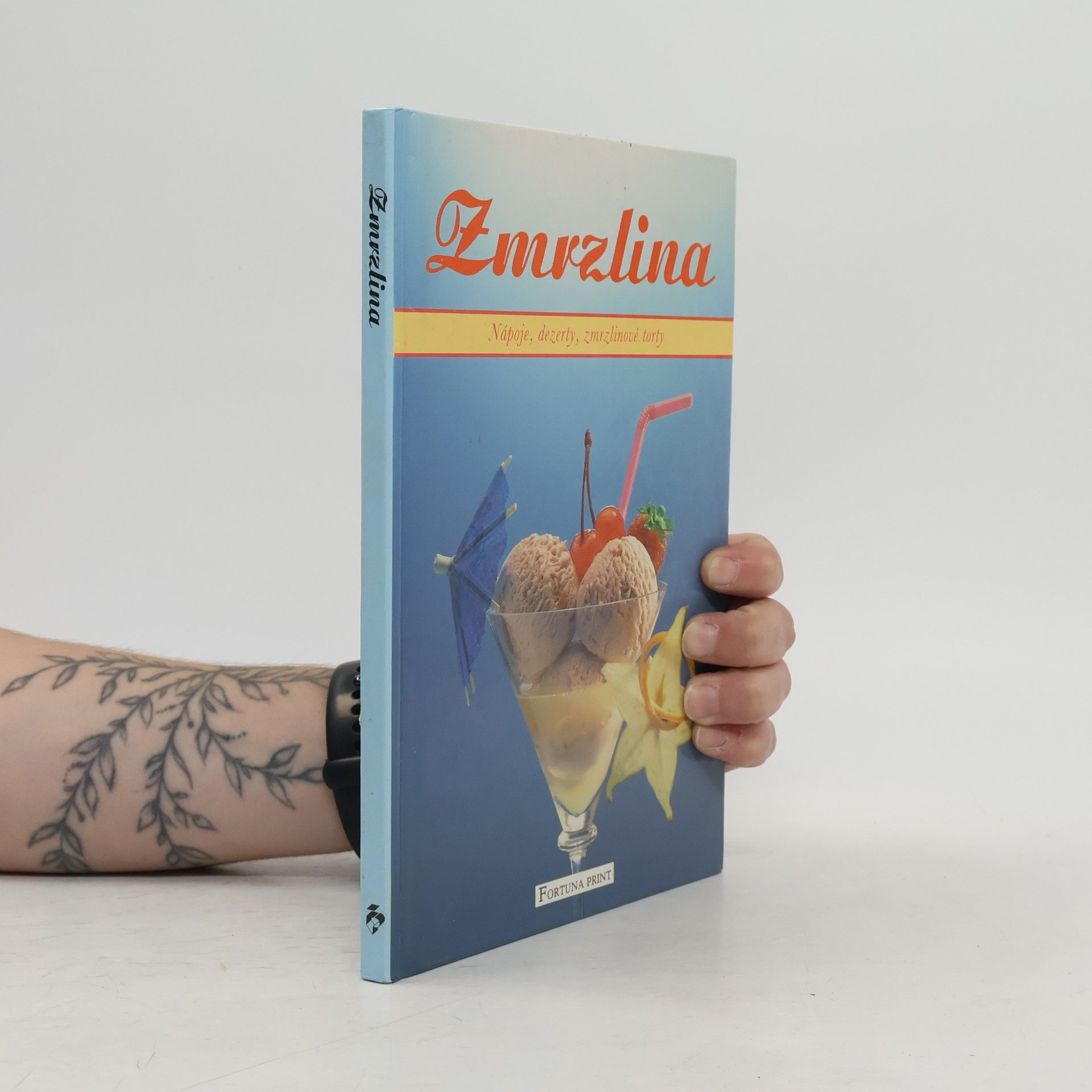 Autores varios Zmrzlina