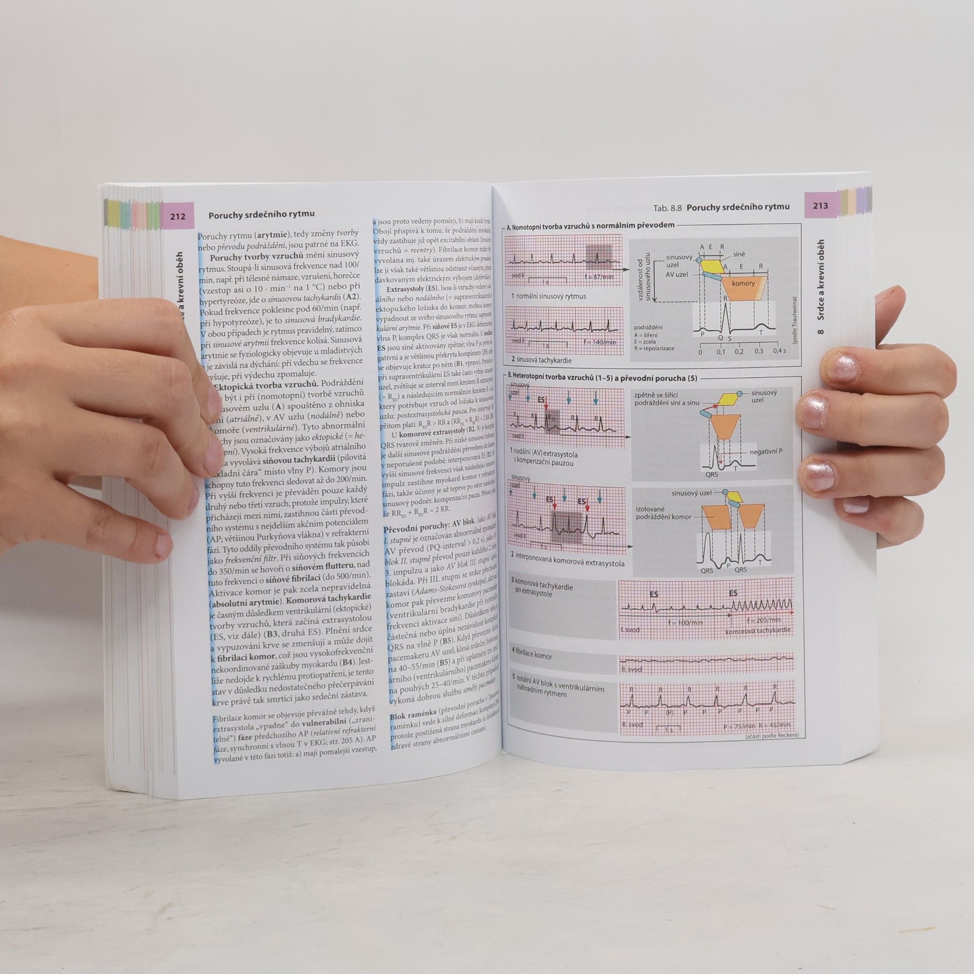 Stefan Silbernagl Atlas fyziologie člověka