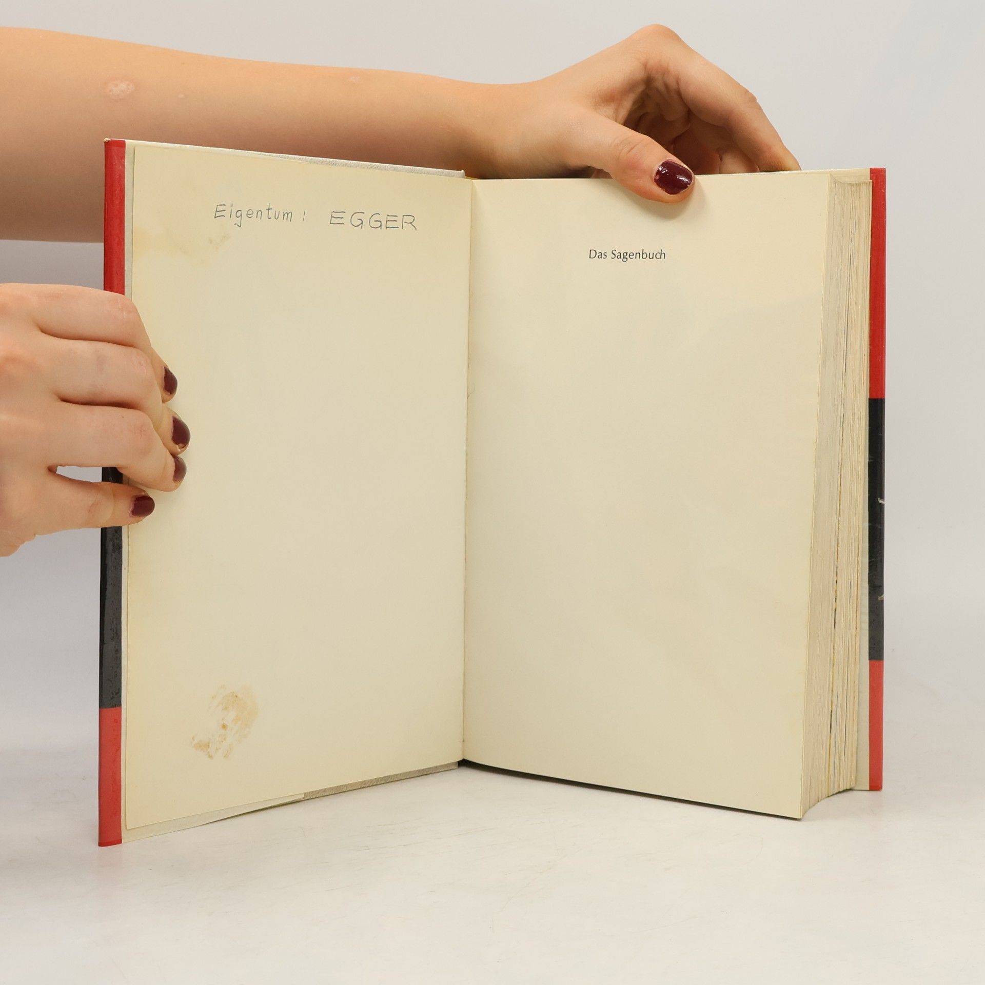 Autorenkollektiv Das Sagenbuch