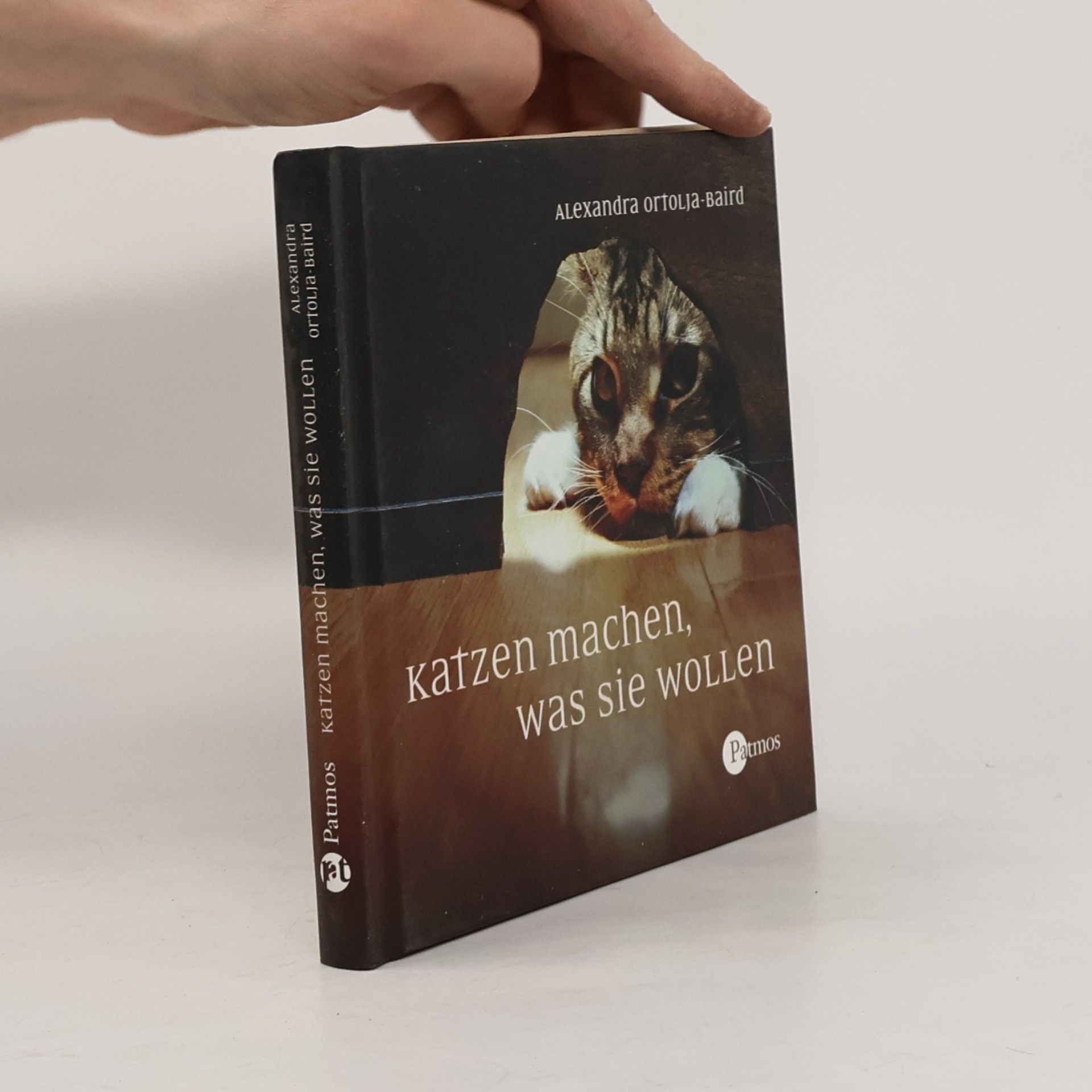 Katzen machen, was sie wollen