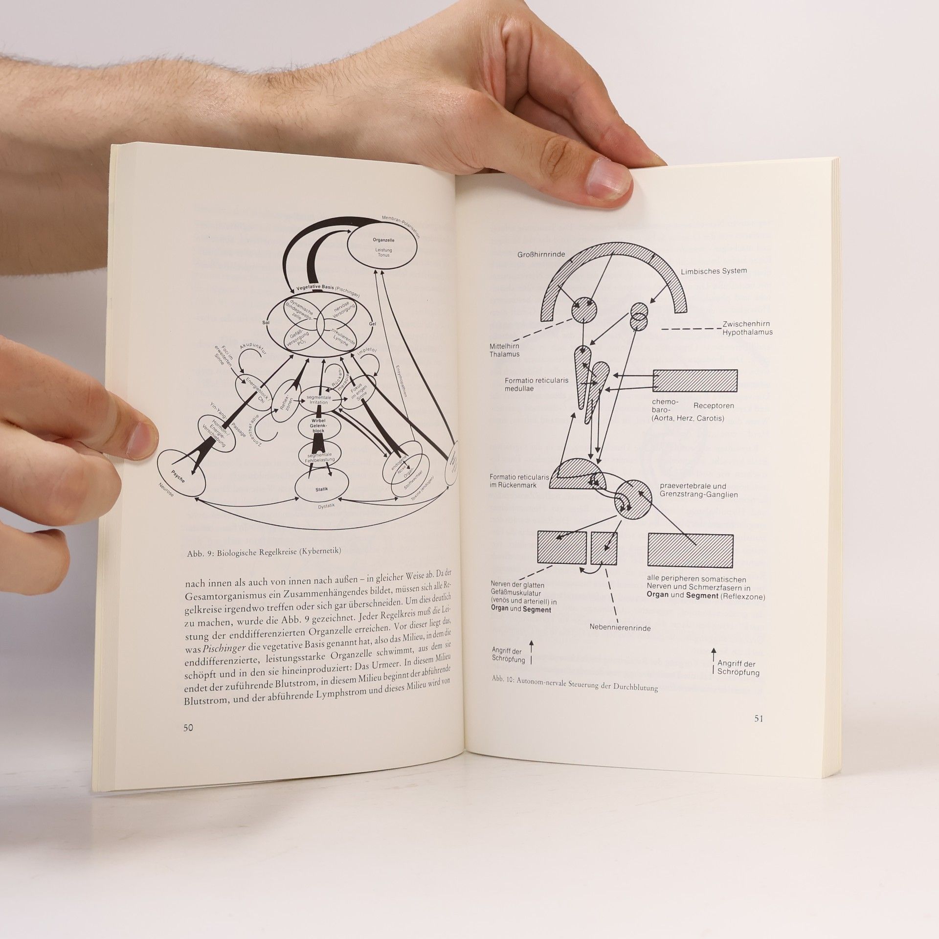 Johann Abele Lehrbuch der Schröpfkopfbehandlung