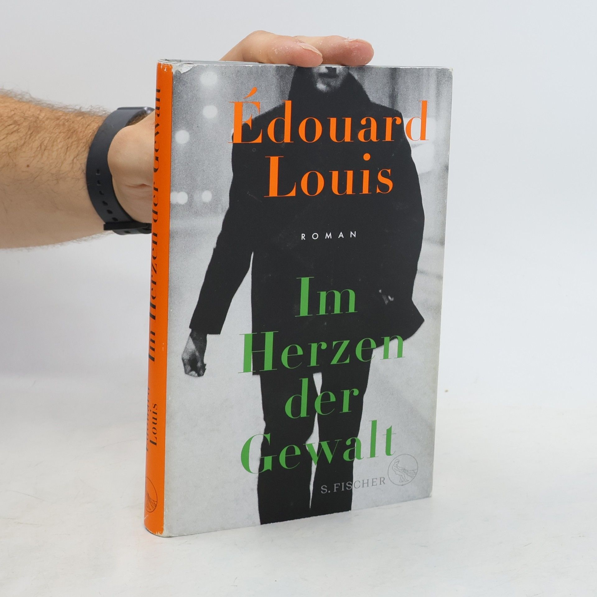 Édouard Louis Im Herzen der Gewalt