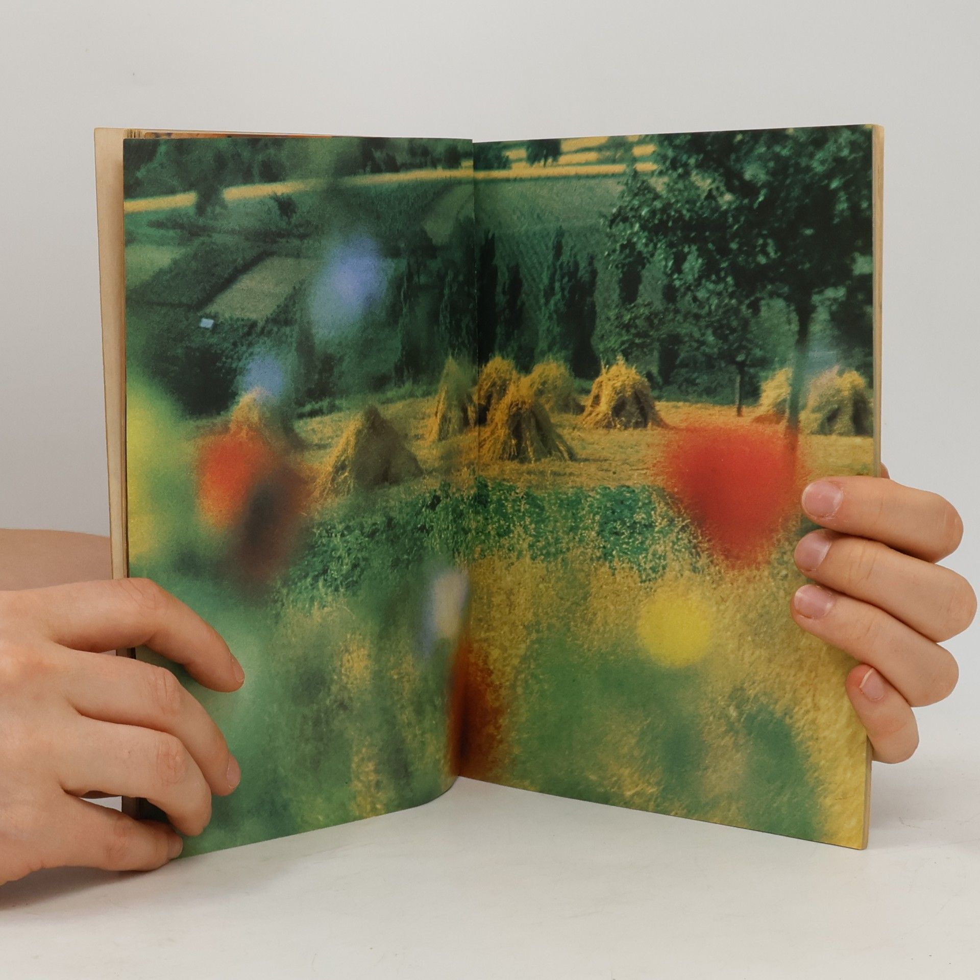 Collectif d'auteurs Meisterfotos und wie Man sie macht