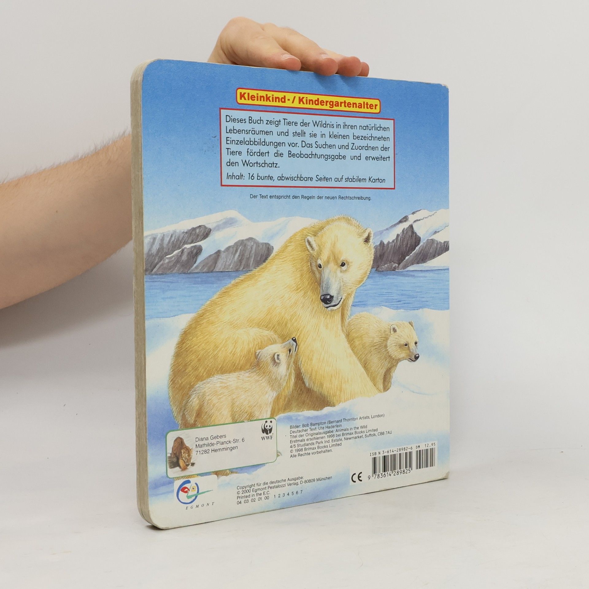 Bob Bampton Mein Bildwörterbuch Tiere der Wildnis