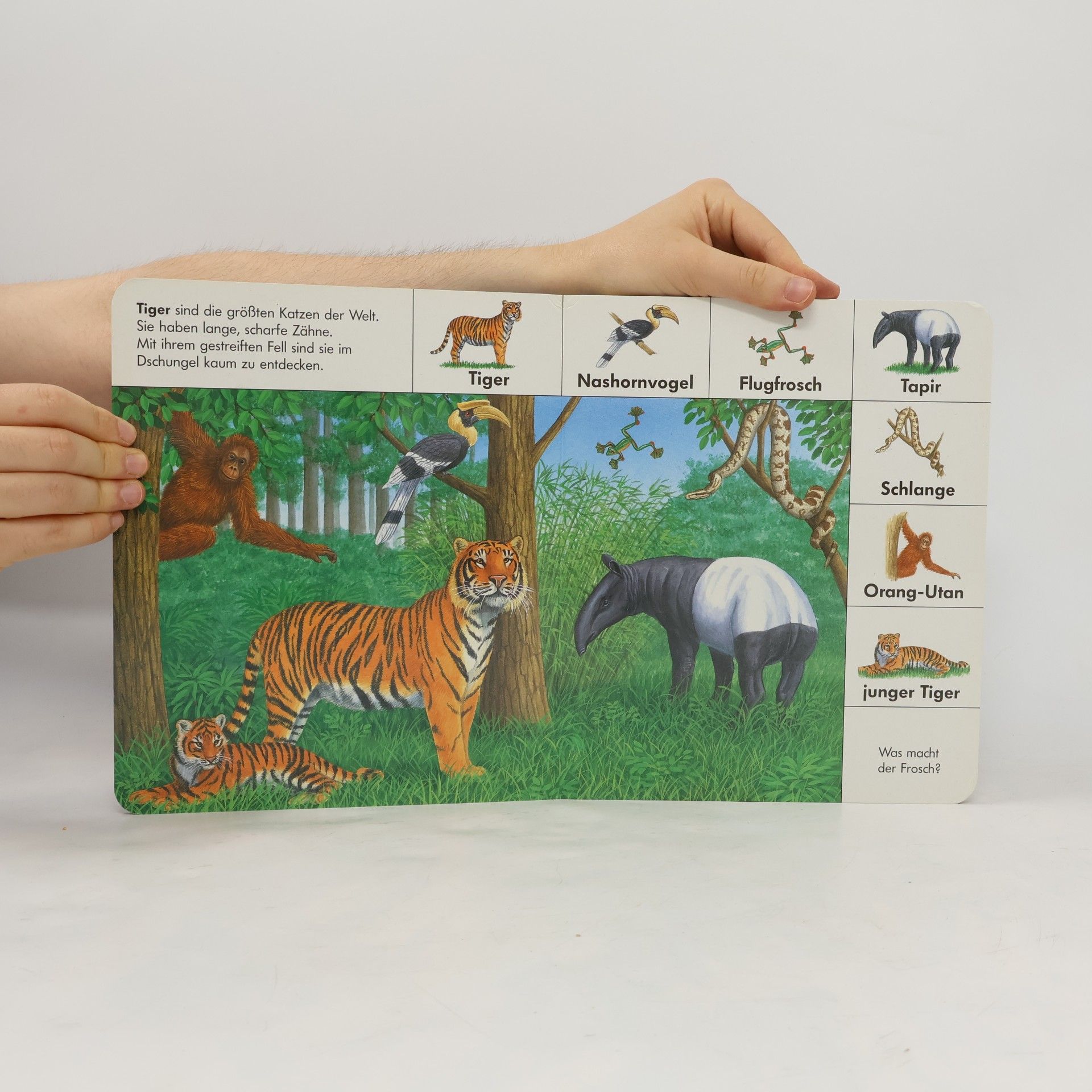 Bob Bampton Mein Bildwörterbuch Tiere der Wildnis