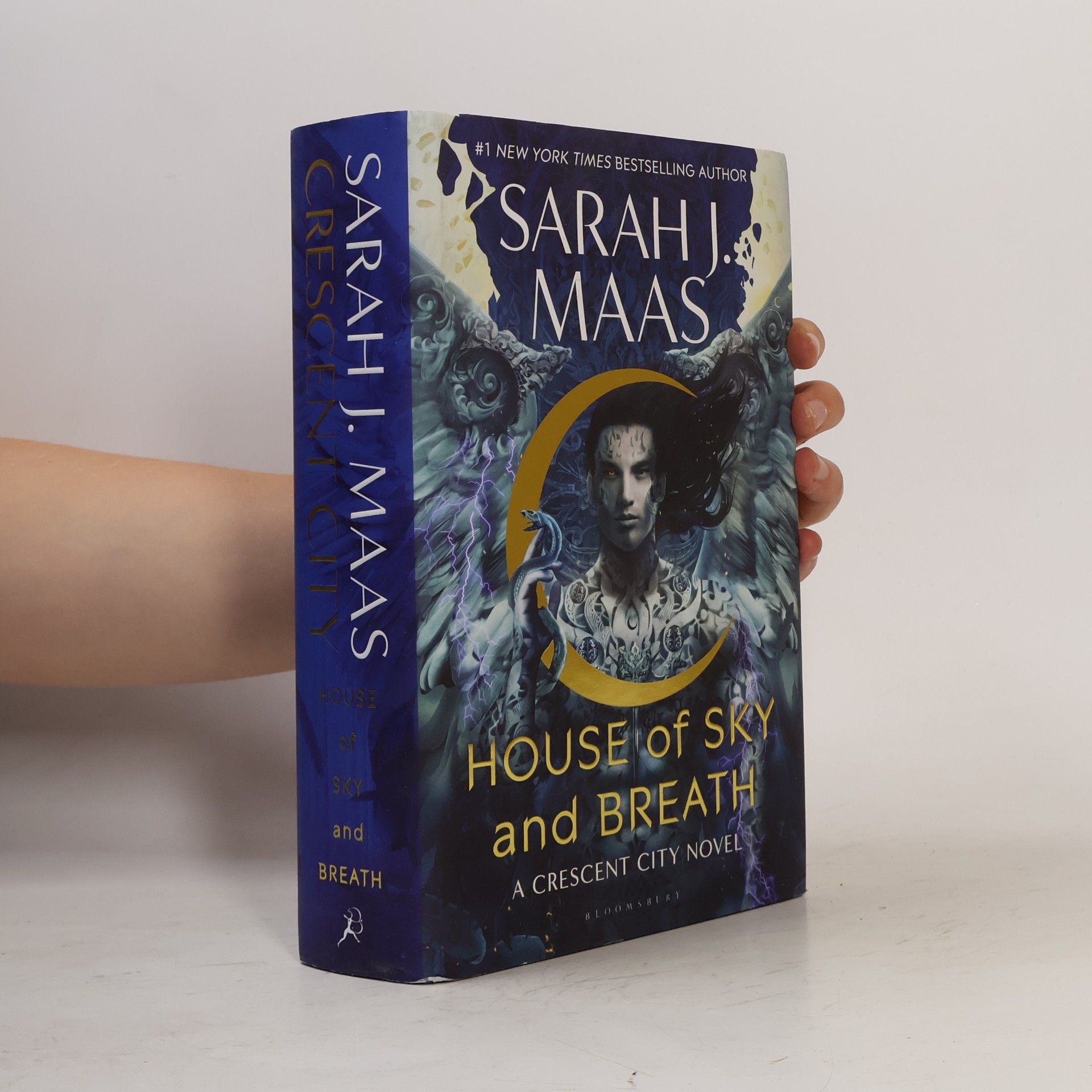 Sarah J. Maasová House of Sky and Breath