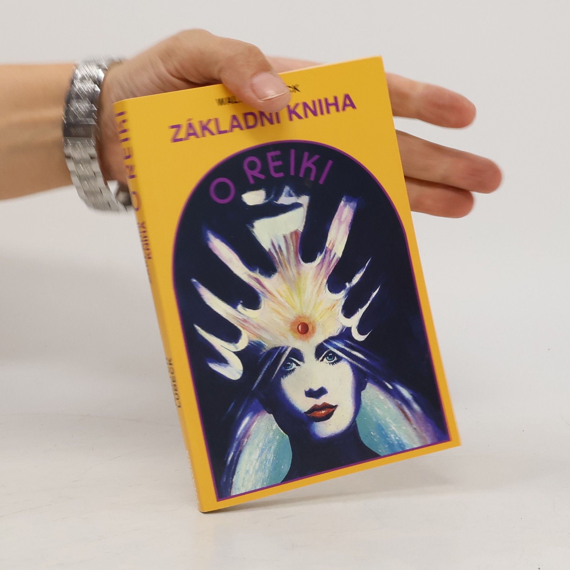 Walter Lübeck Základní kniha o reiki