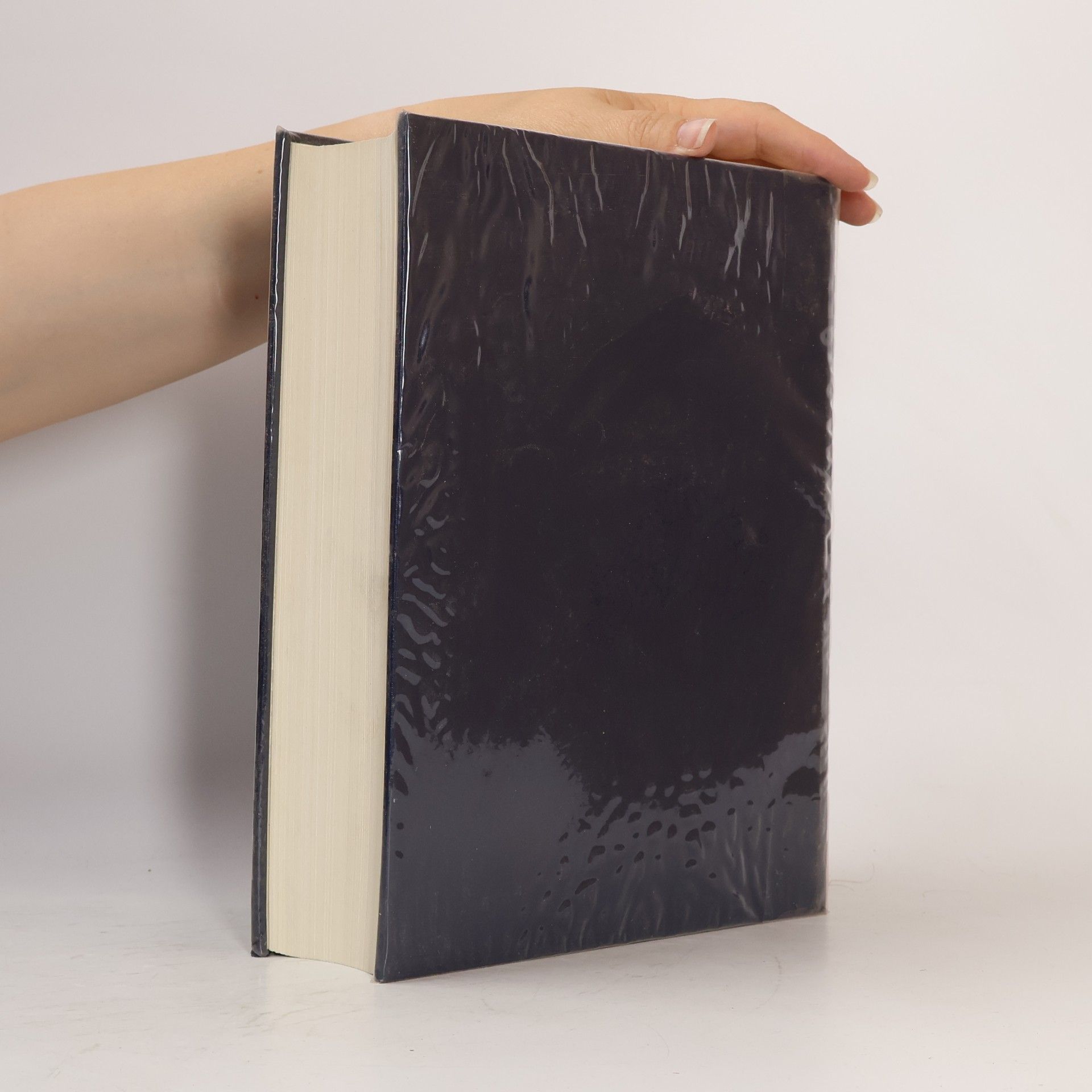 Autorenkollektiv Dizionario italiano-inglese