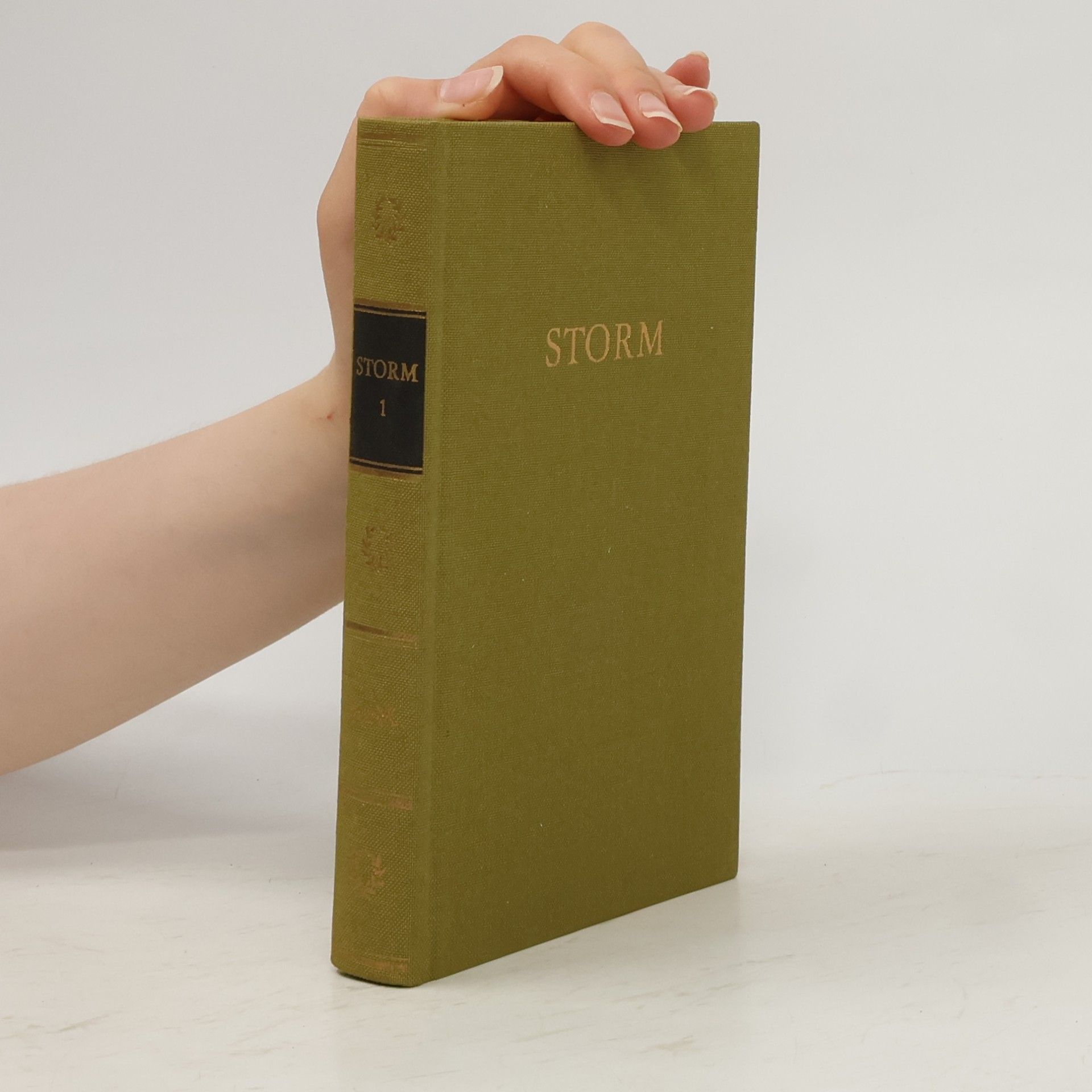 Collectif d'auteurs Storm 1