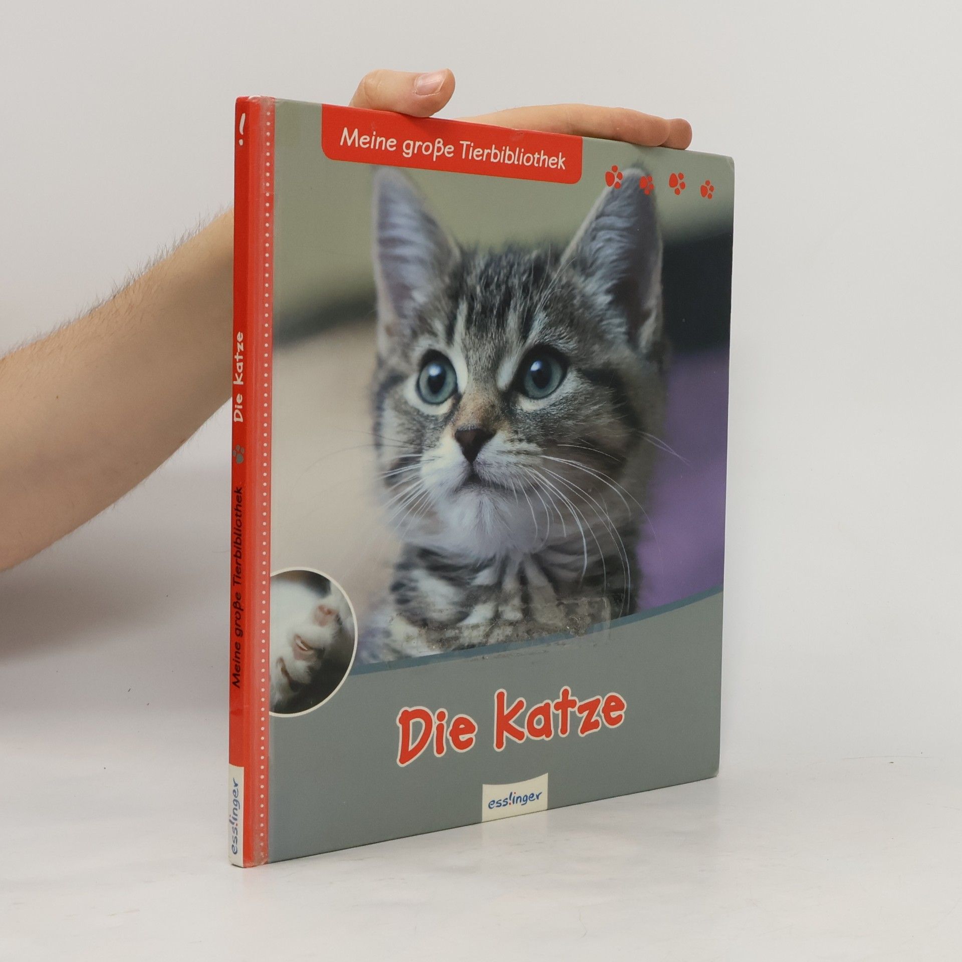 Stéphane Frattini Die Katze
