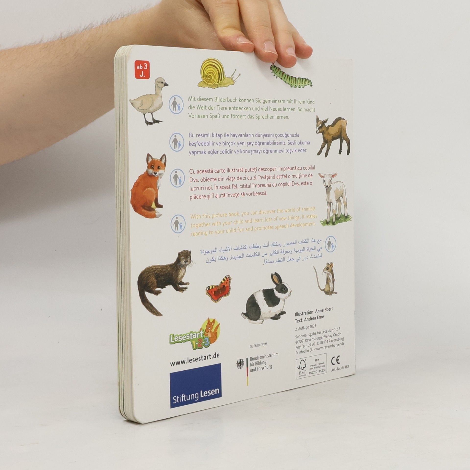 Andrea Erne Unsere Tiere und ihre Kinder