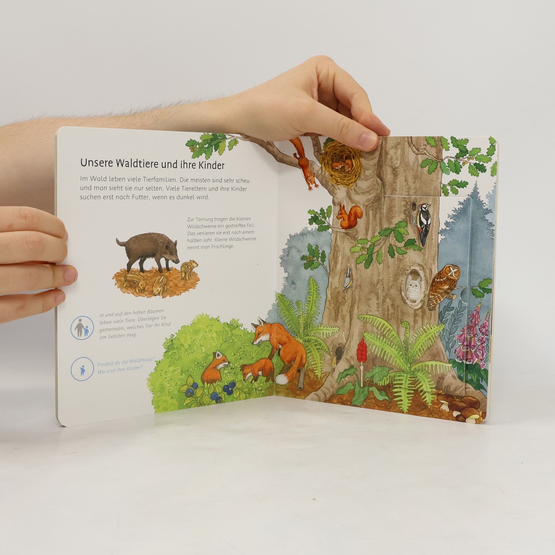Andrea Erne Unsere Tiere und ihre Kinder