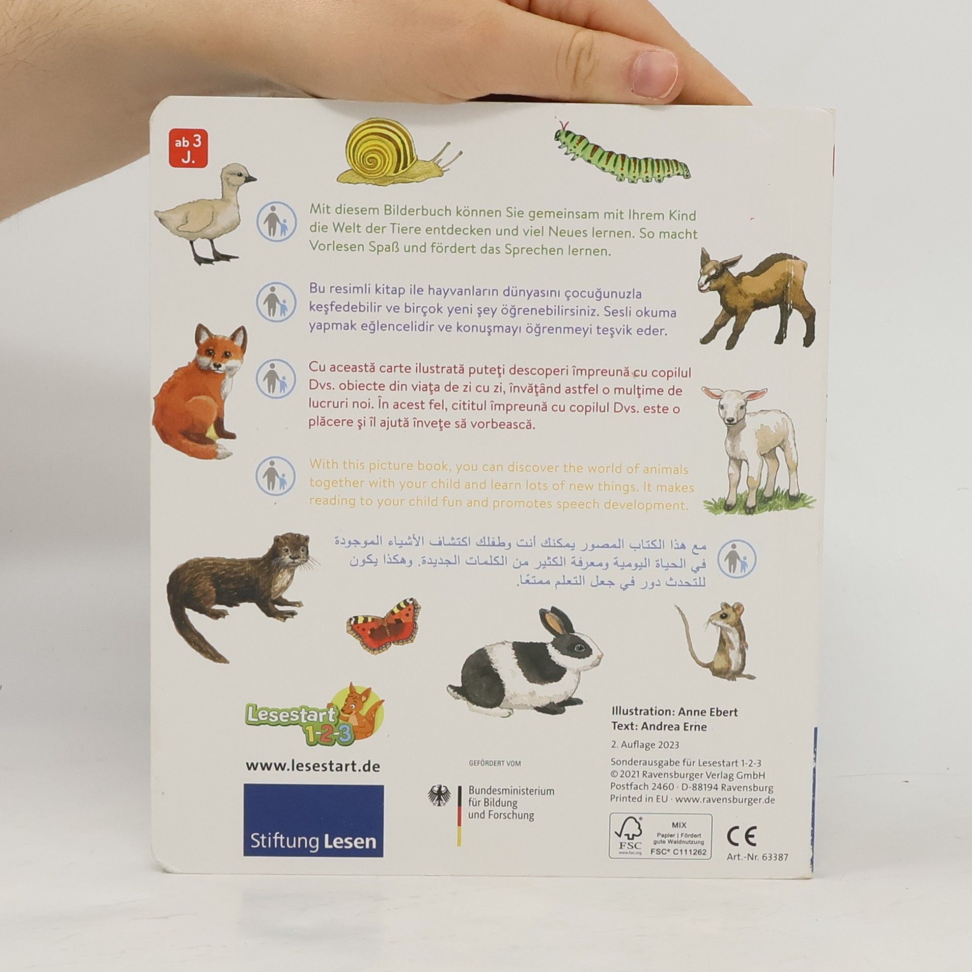 Andrea Erne Unsere Tiere und ihre Kinder
