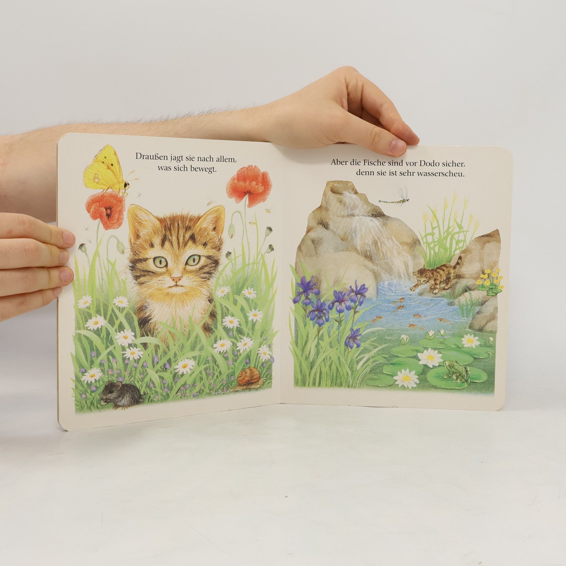 Amrei Fechner Meine kleine Katze