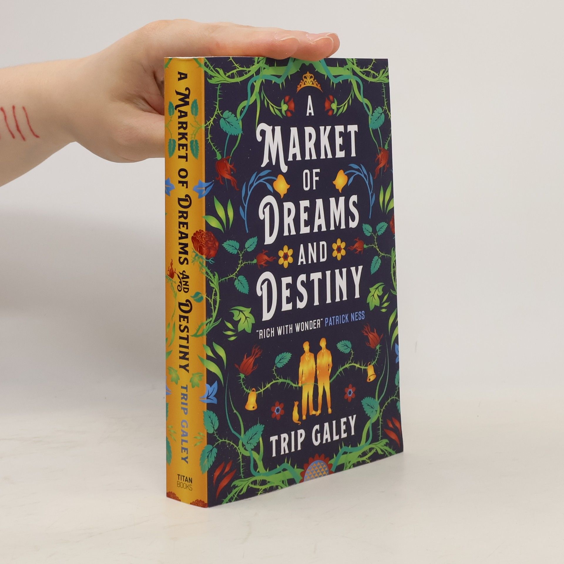 Trip Galey A Market of Dreams and Destiny