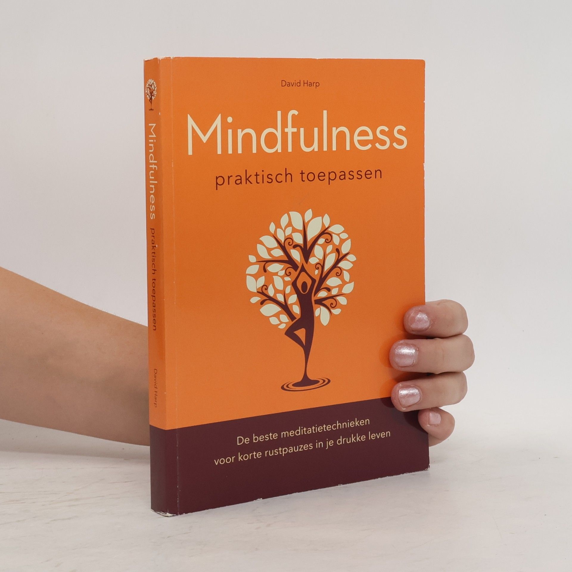 Mindfulness praktisch toepassen