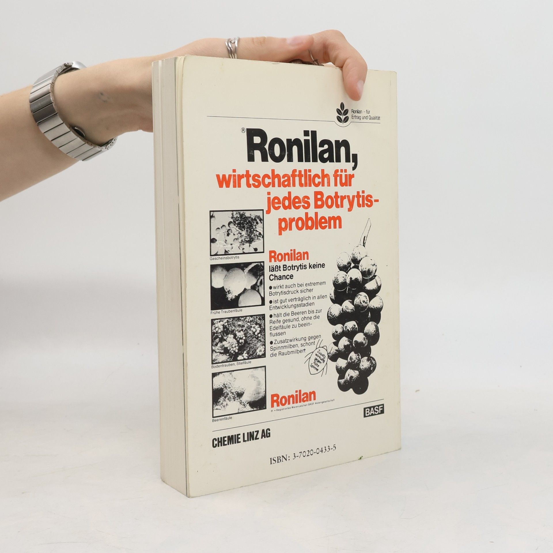 Walter Ruckenbauer Weinbau Heute
