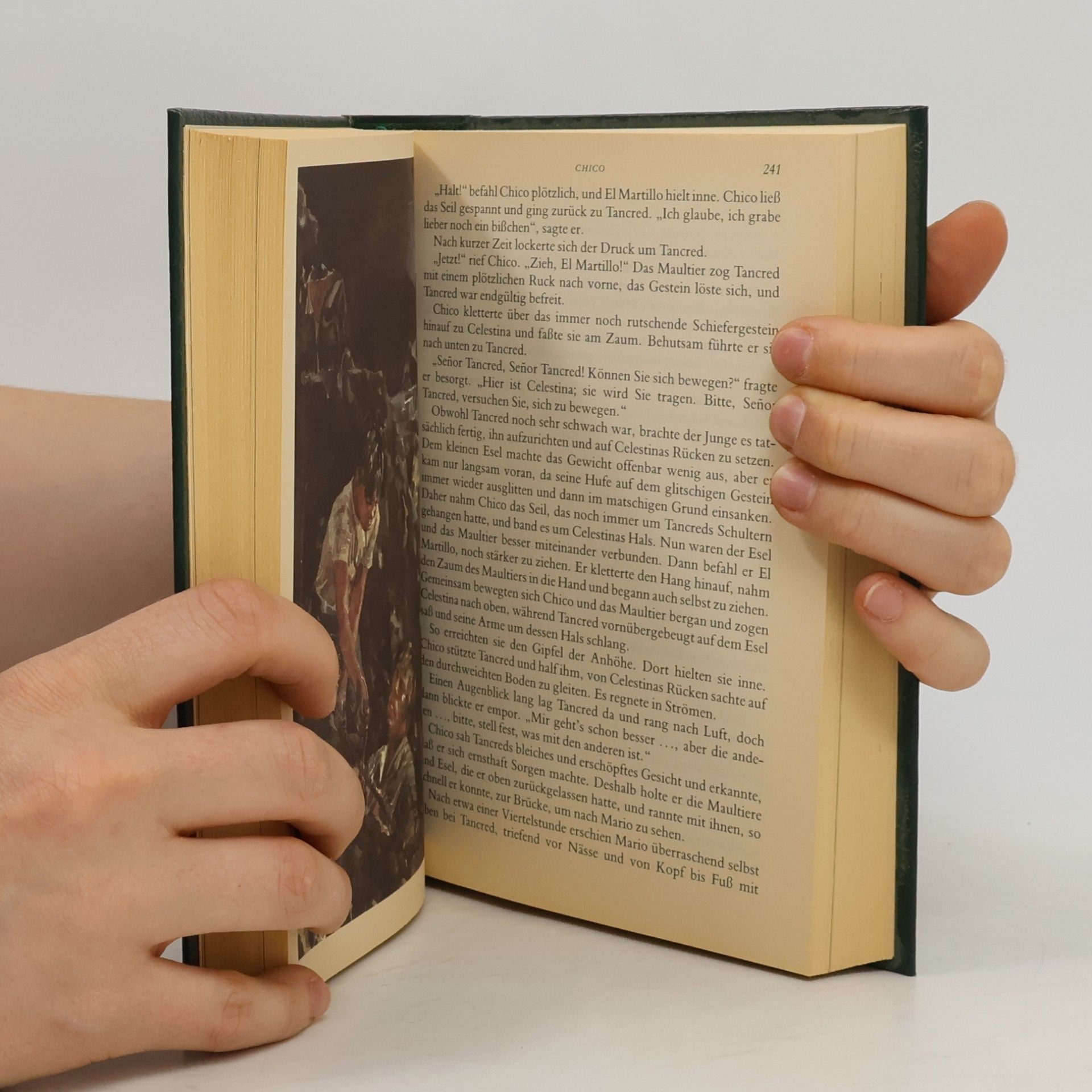 Elizabeth Webster Reader's Digest Auswahlbücher. In den Wäldern von Borodino. Chico. Jeder Tag zählt. Die Bären und ich