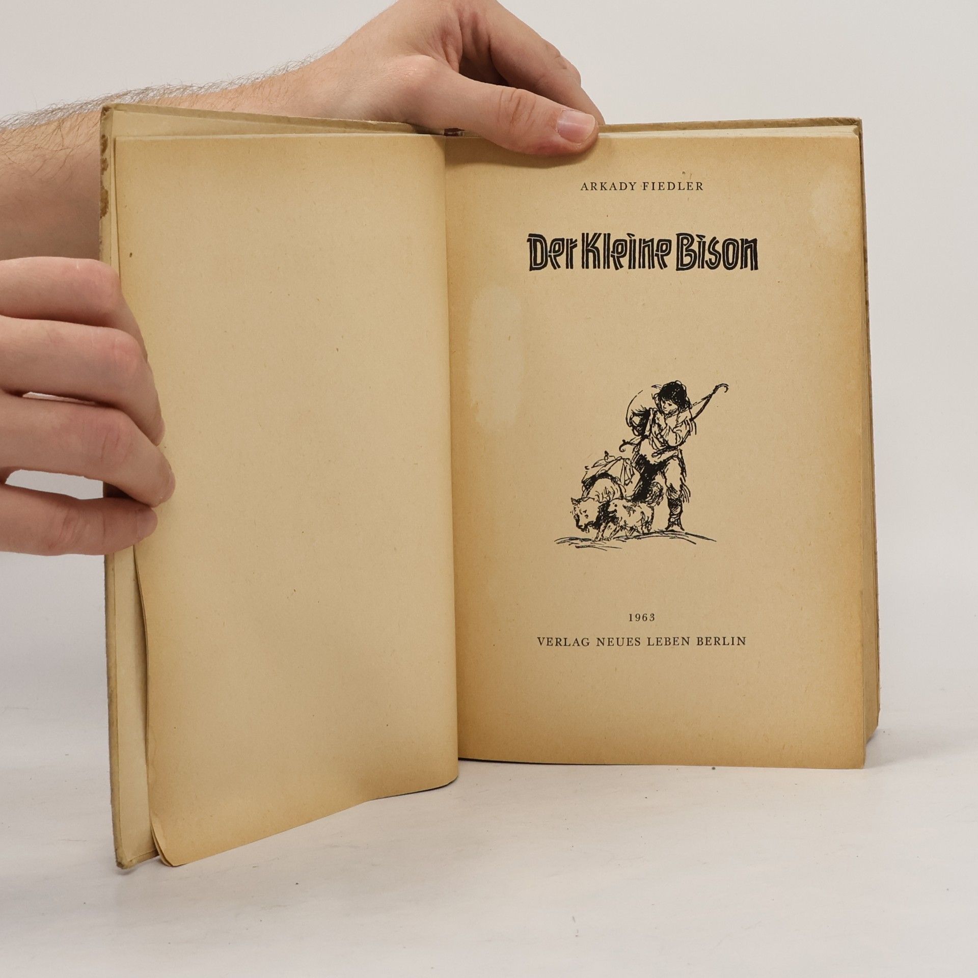 Arkady Fiedler Der kleine Bison