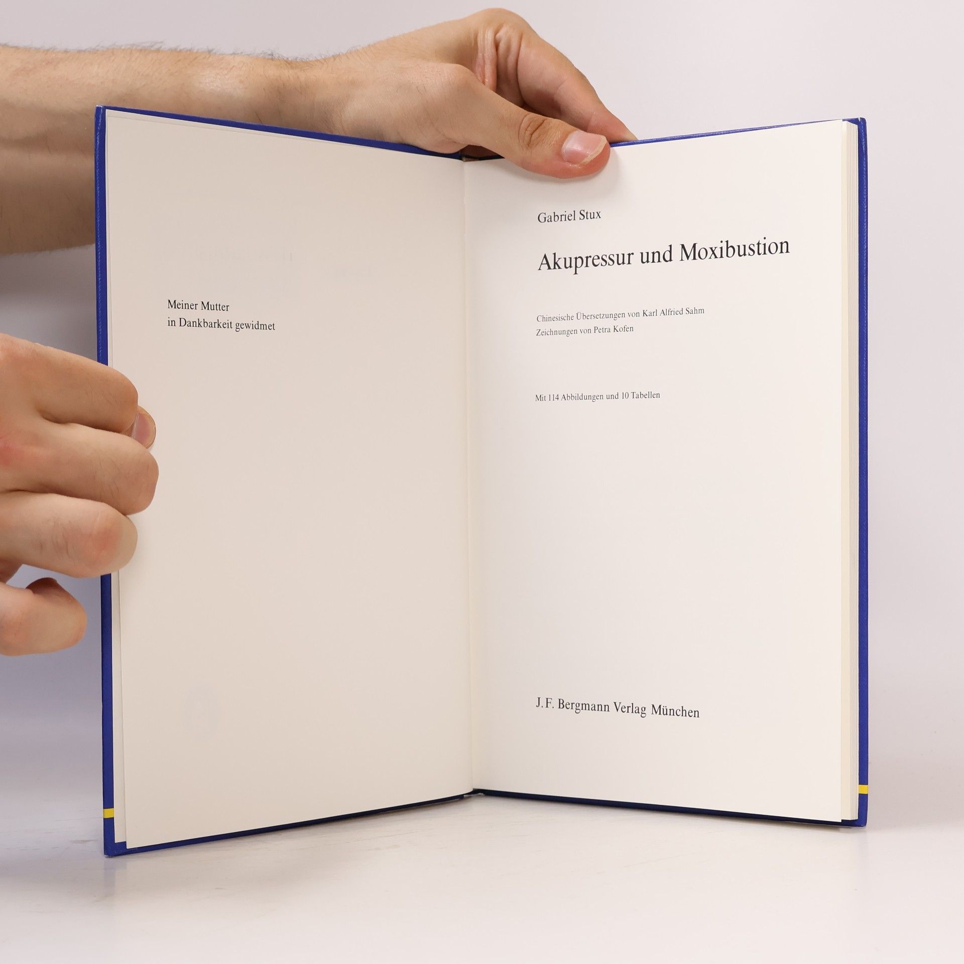Gabriel Stux Akupressur und Moxibustion