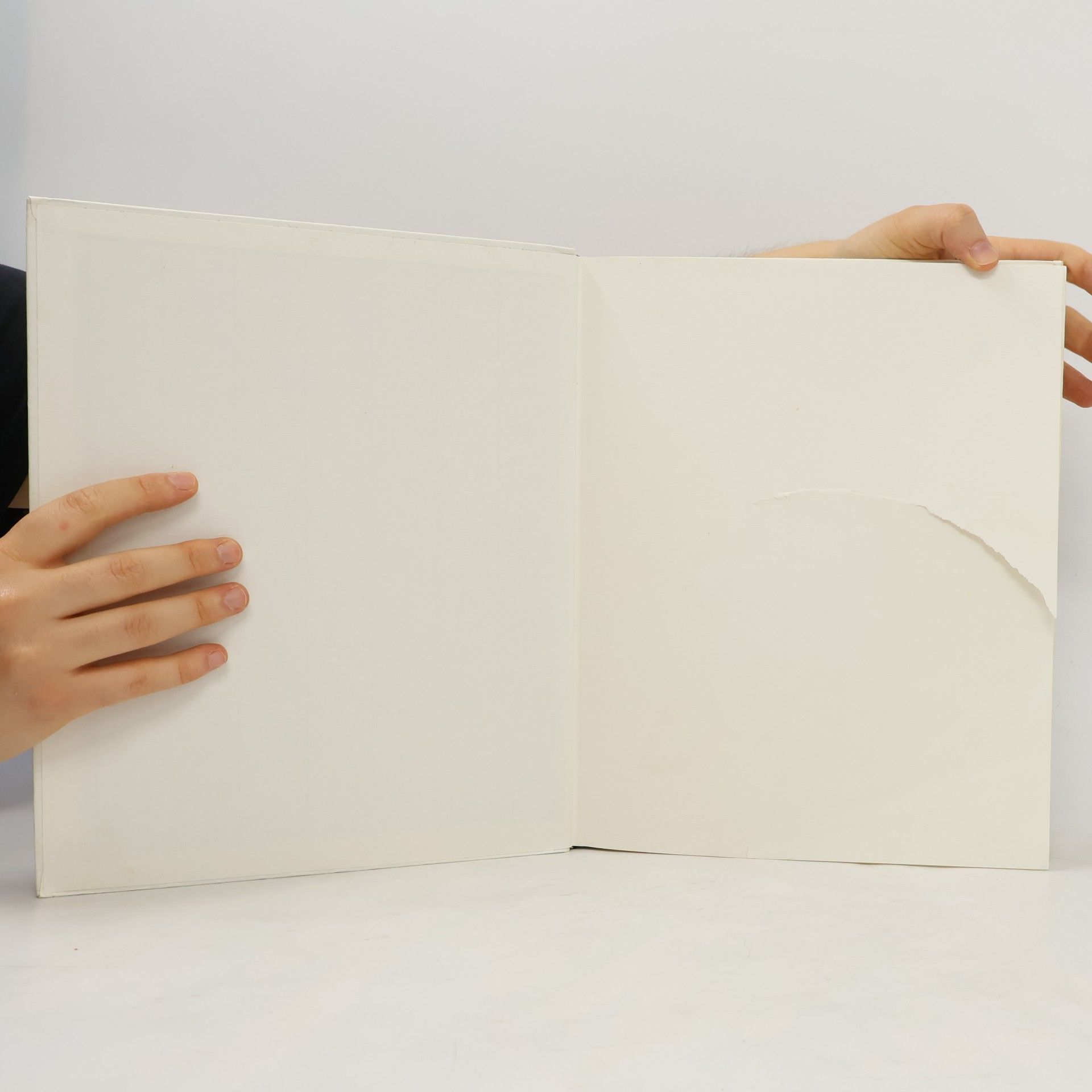 Anne Diekmann Das große Liederbuch