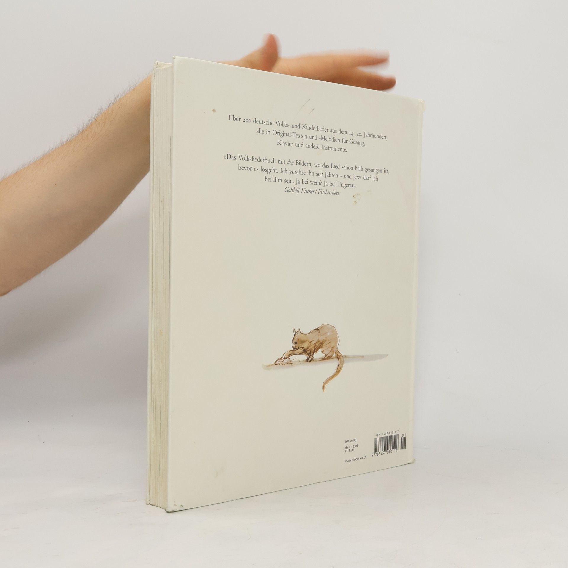 Anne Diekmann Das große Liederbuch