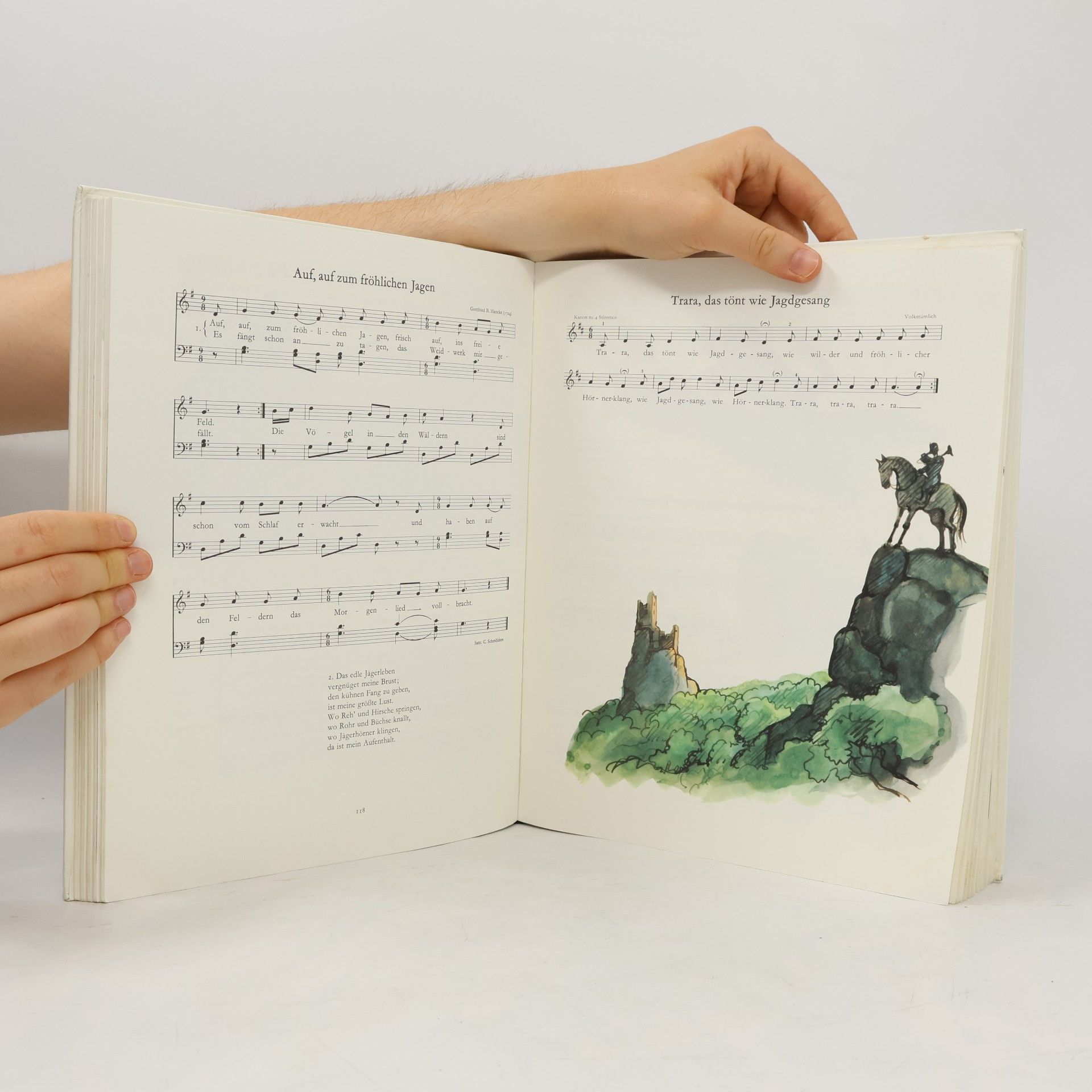 Anne Diekmann Das große Liederbuch