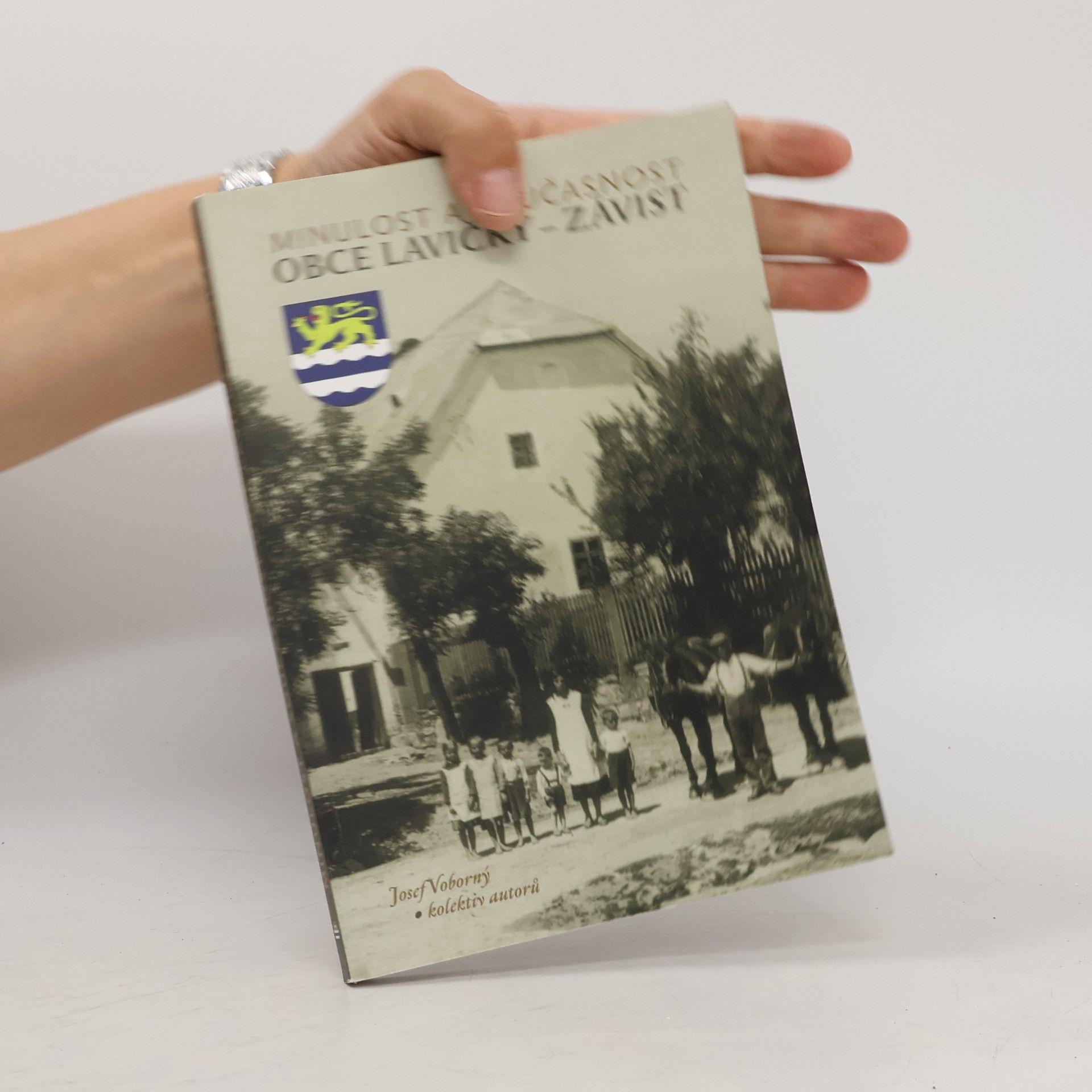 Minulost a současnost obce Lavičky - Závist