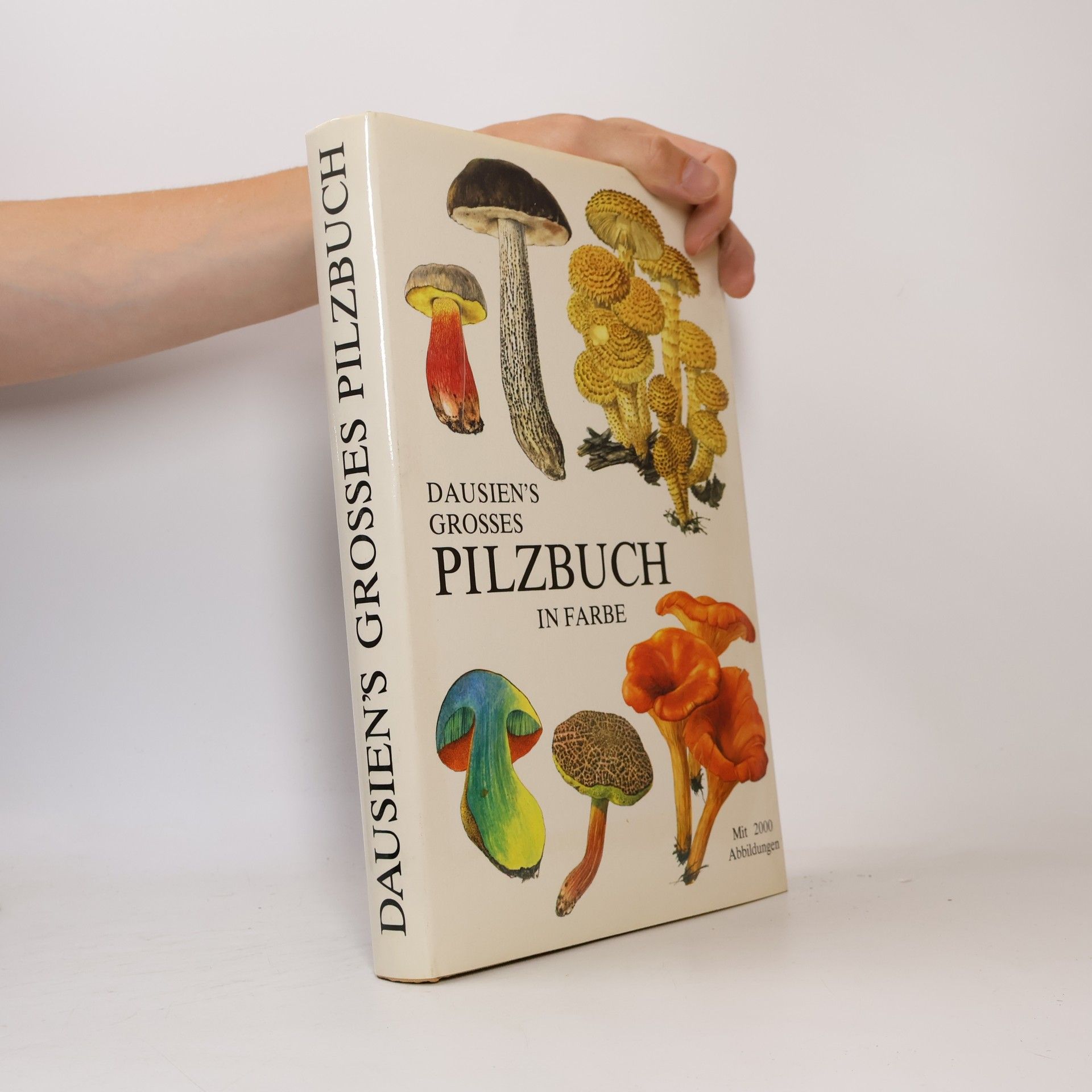 Mirko Svrček Dausien's grosses Pilzbuch in Farbe