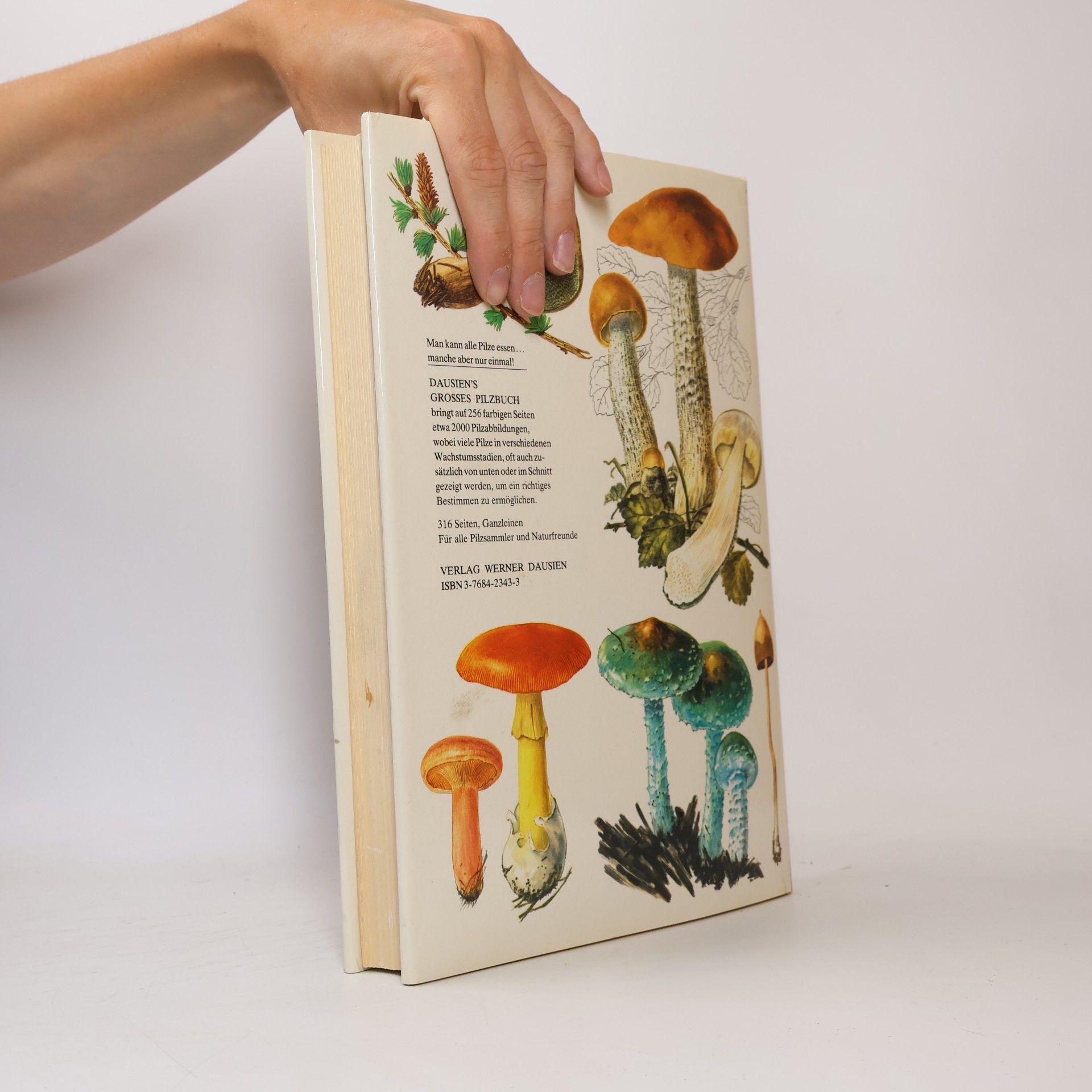 Mirko Svrček Dausien's grosses Pilzbuch in Farbe