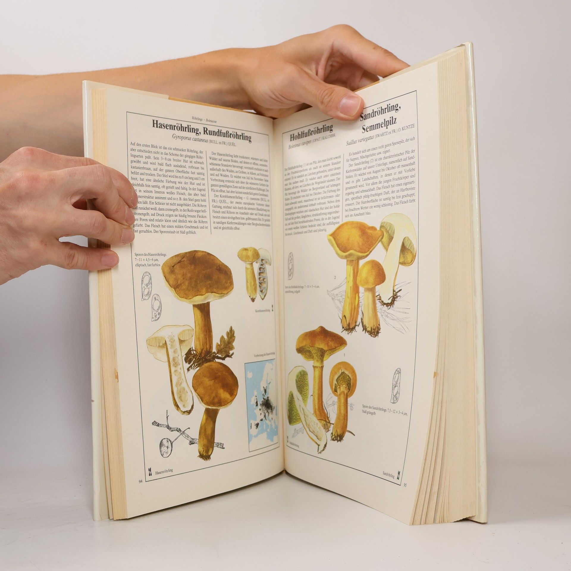 Mirko Svrček Dausien's grosses Pilzbuch in Farbe