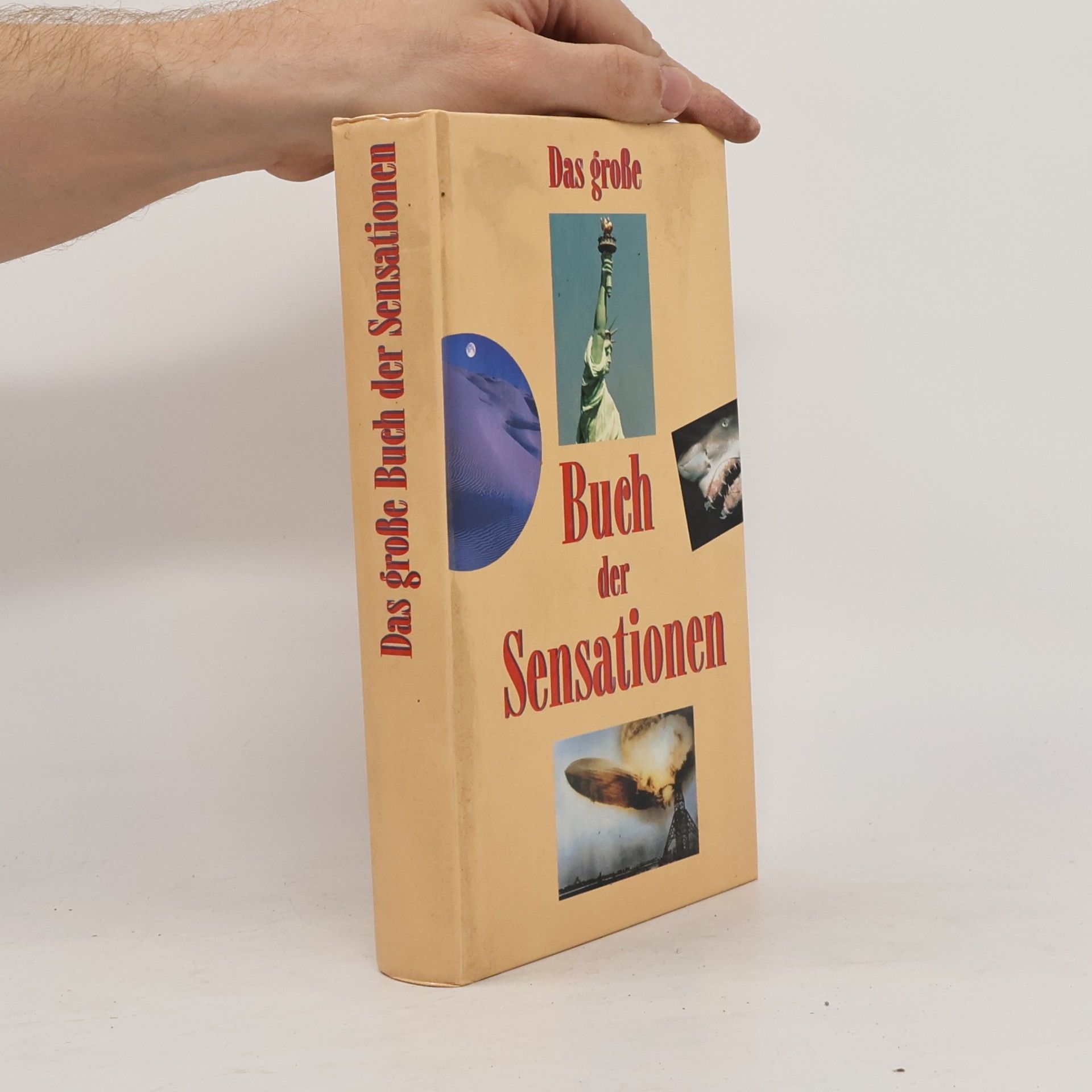Linda Amon Das große Buch der Sensationen