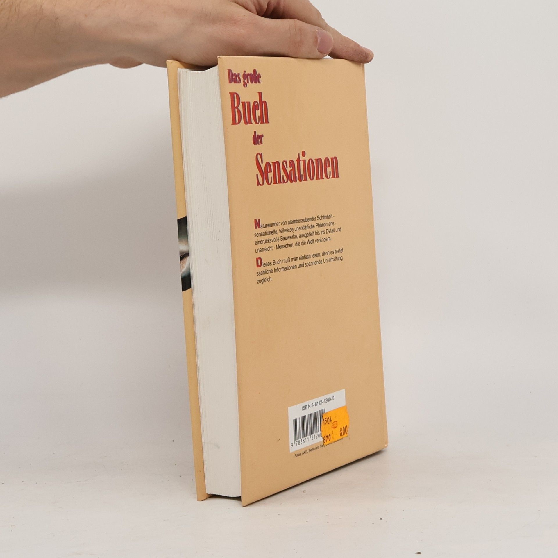 Linda Amon Das große Buch der Sensationen
