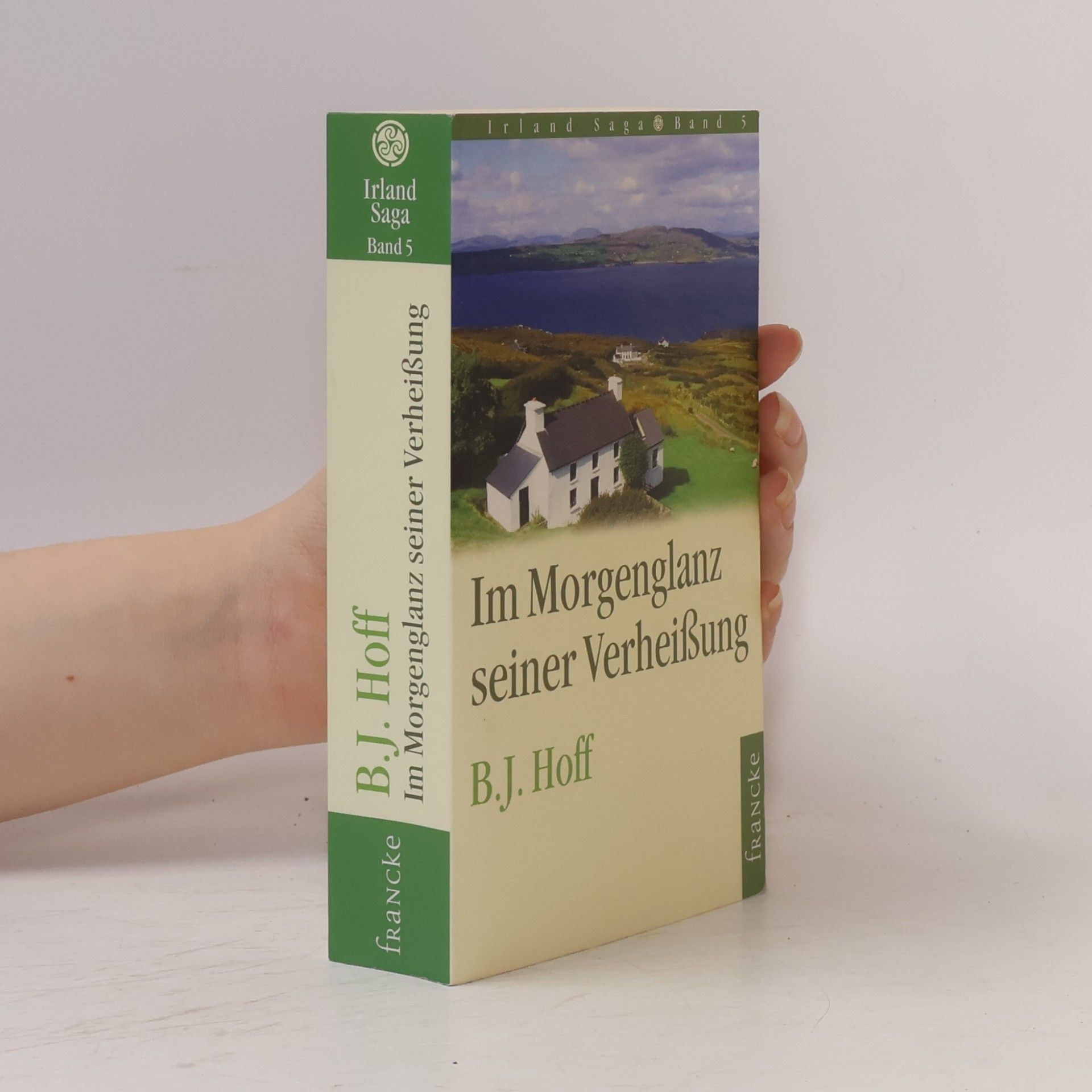 Irland Saga - 5: Im Morgenglanz seiner Verheißung