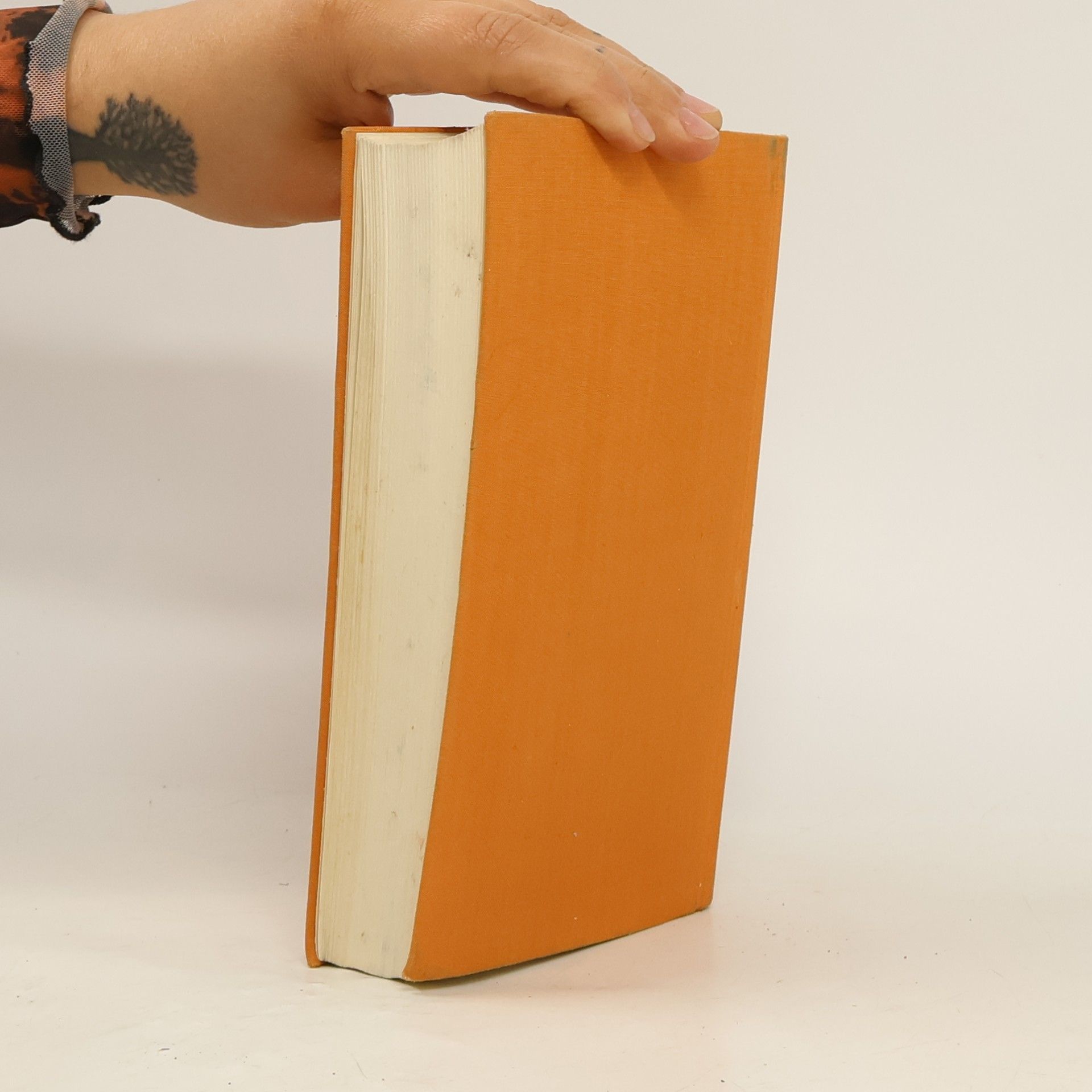 Autores varios Eine Reise nach Neapel