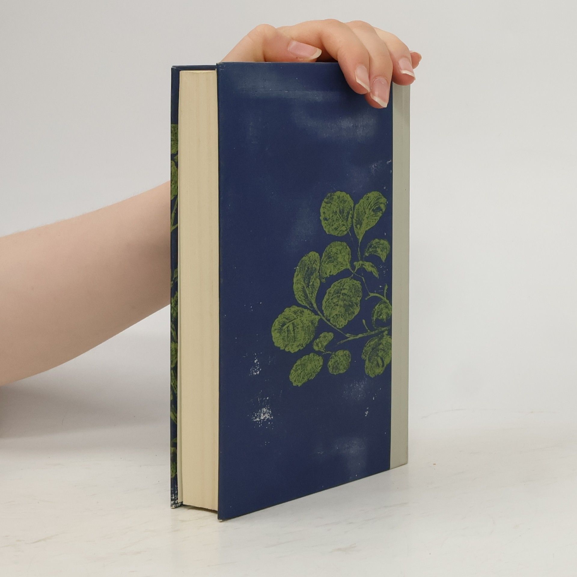 Harper Lee Wer die Nachtigall stört