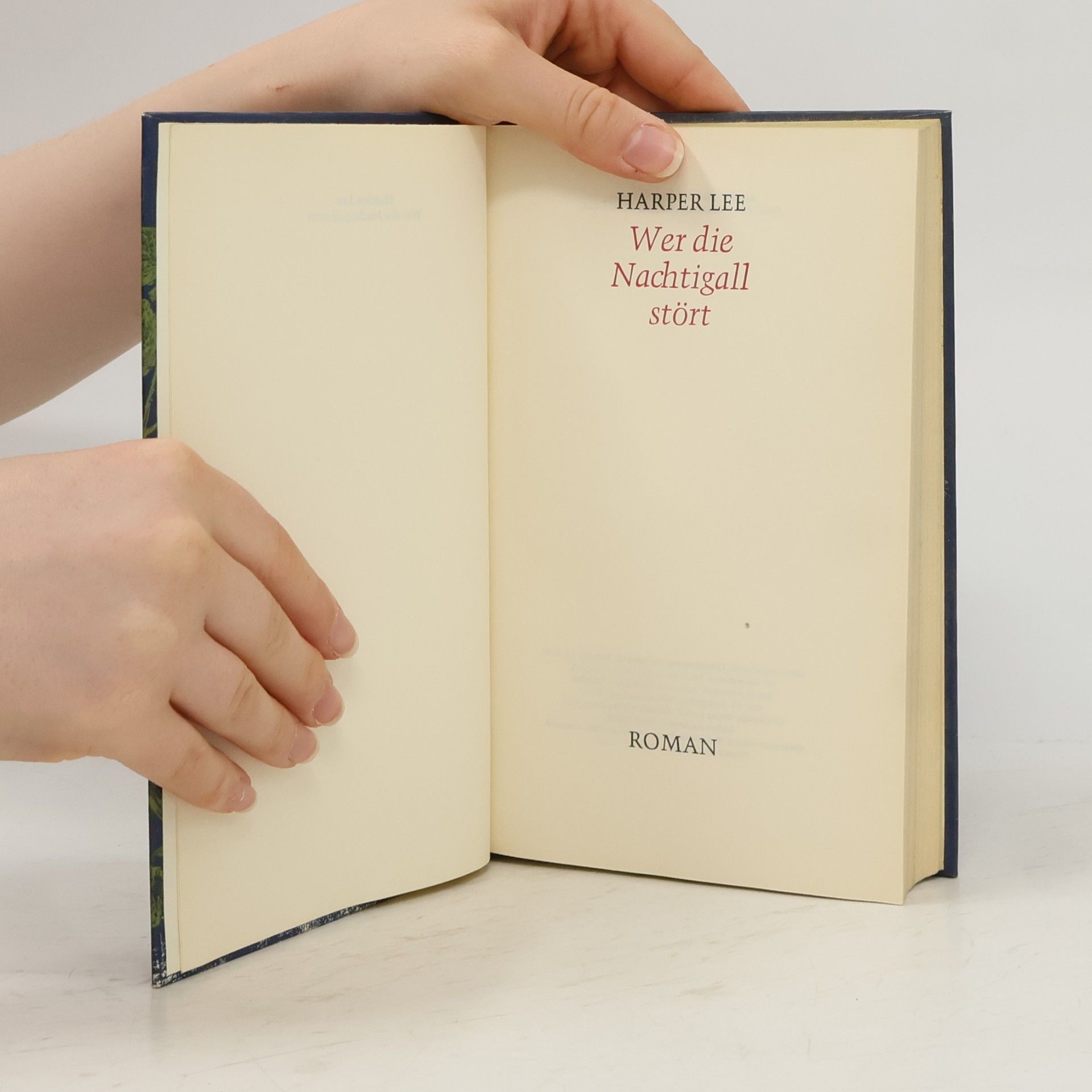 Harper Lee Wer die Nachtigall stört