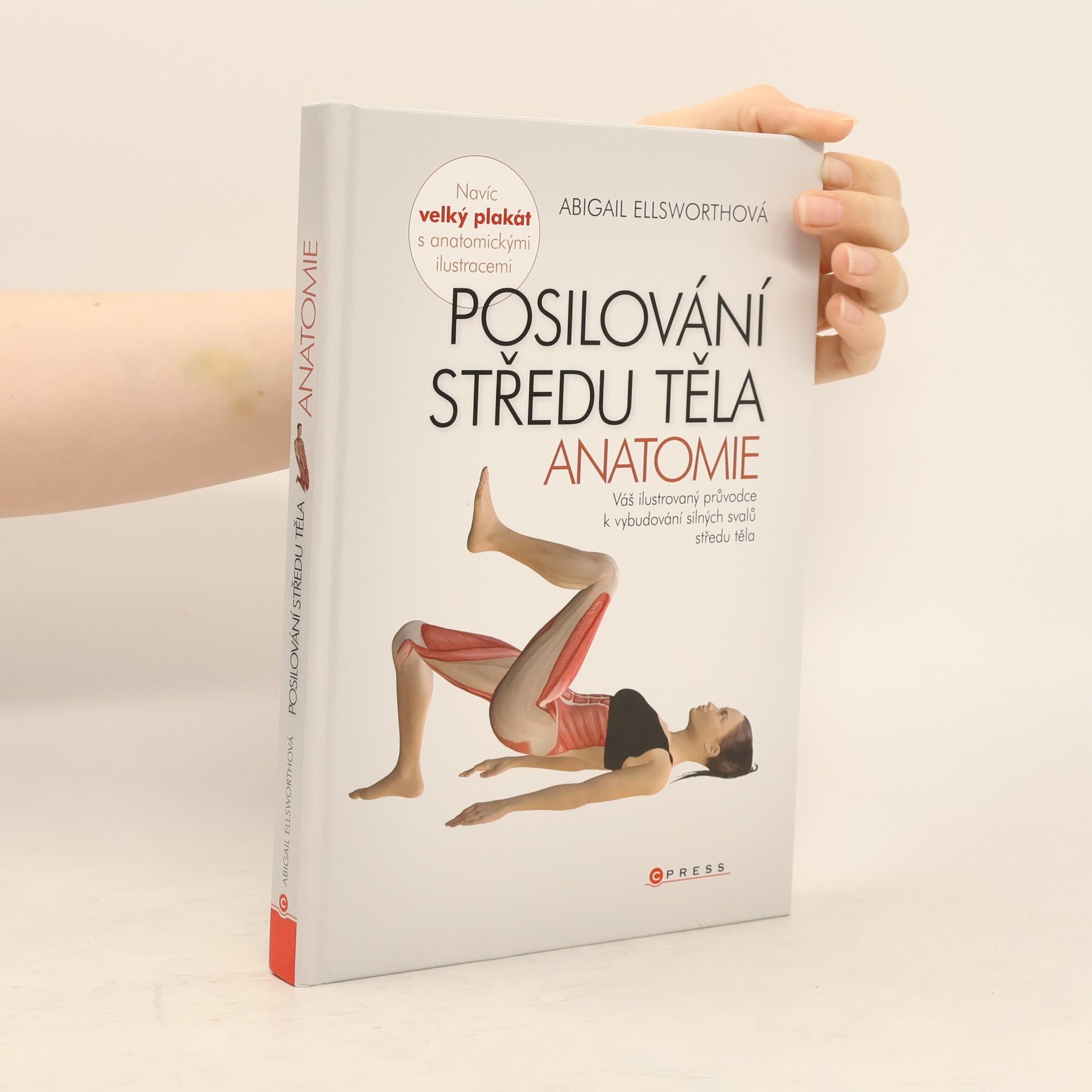 Abby Ellsworth Posilování středu těla - anatomie
