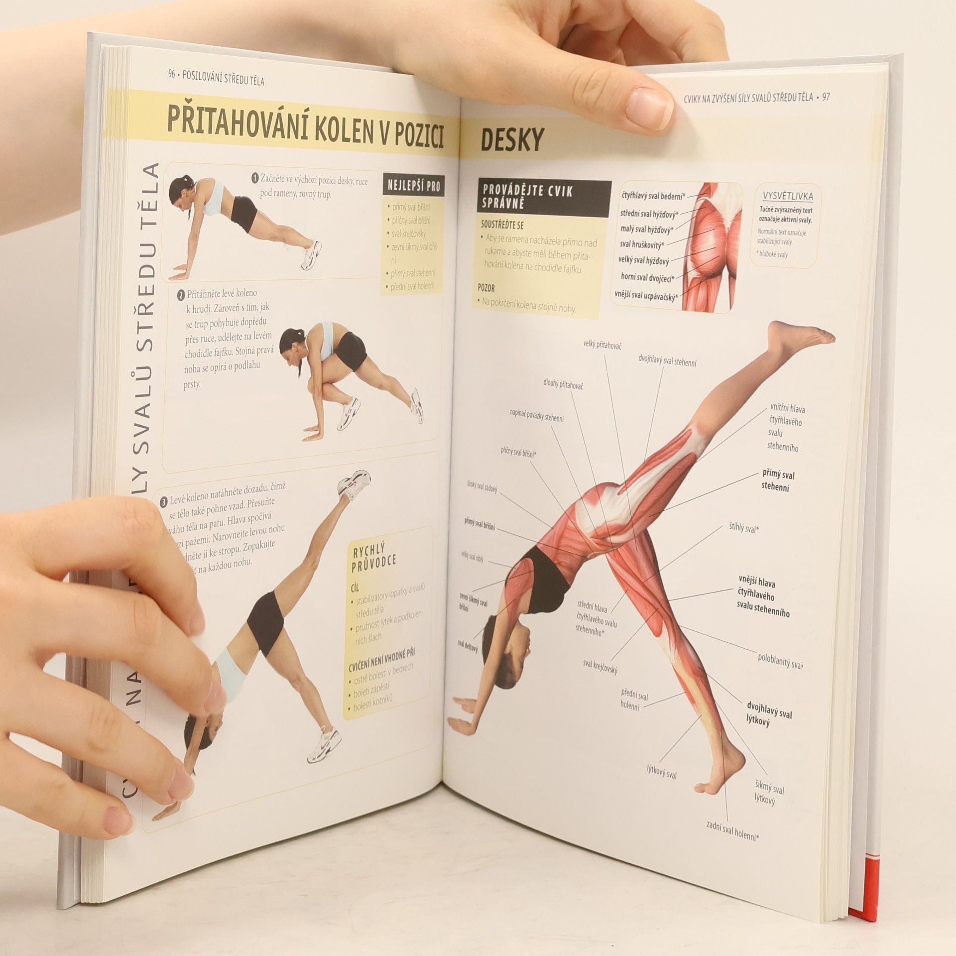 Abby Ellsworth Posilování středu těla - anatomie
