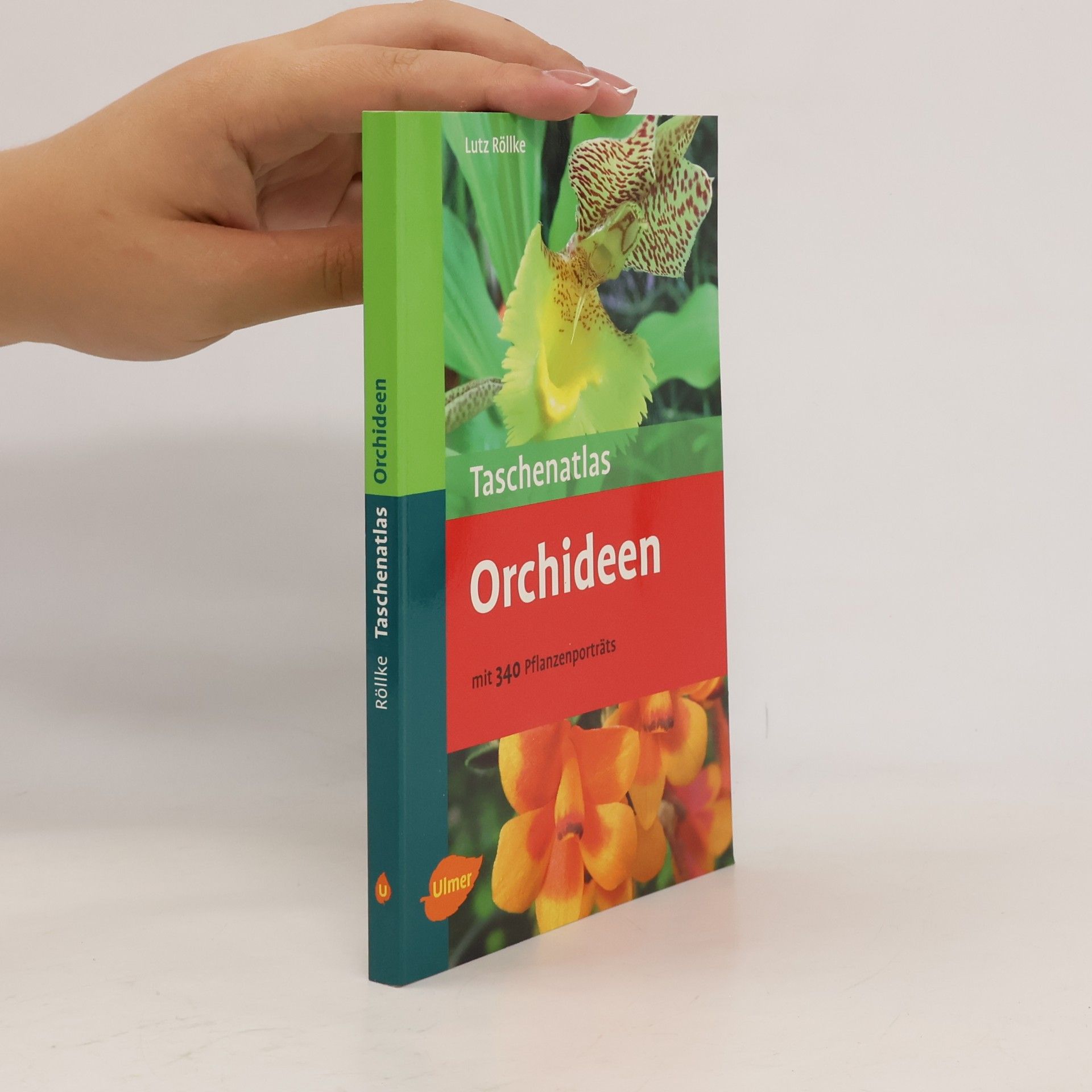 Collectif d'auteurs Orchideen mit 340 Pflanzenporträts