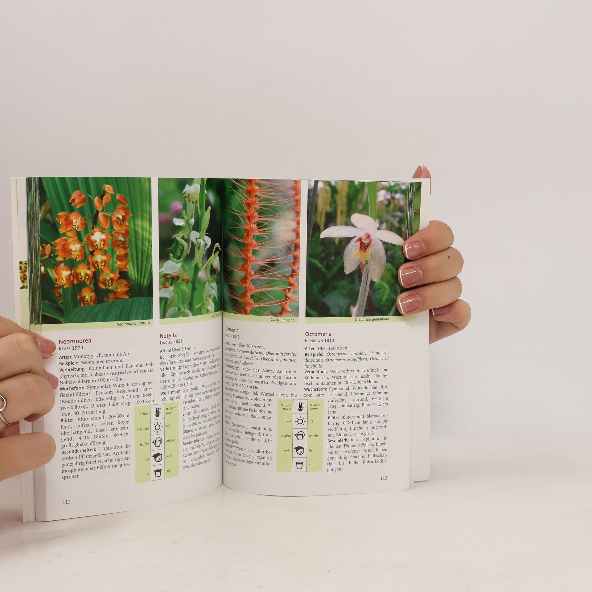 Auteurscollectief Orchideen mit 340 Pflanzenporträts