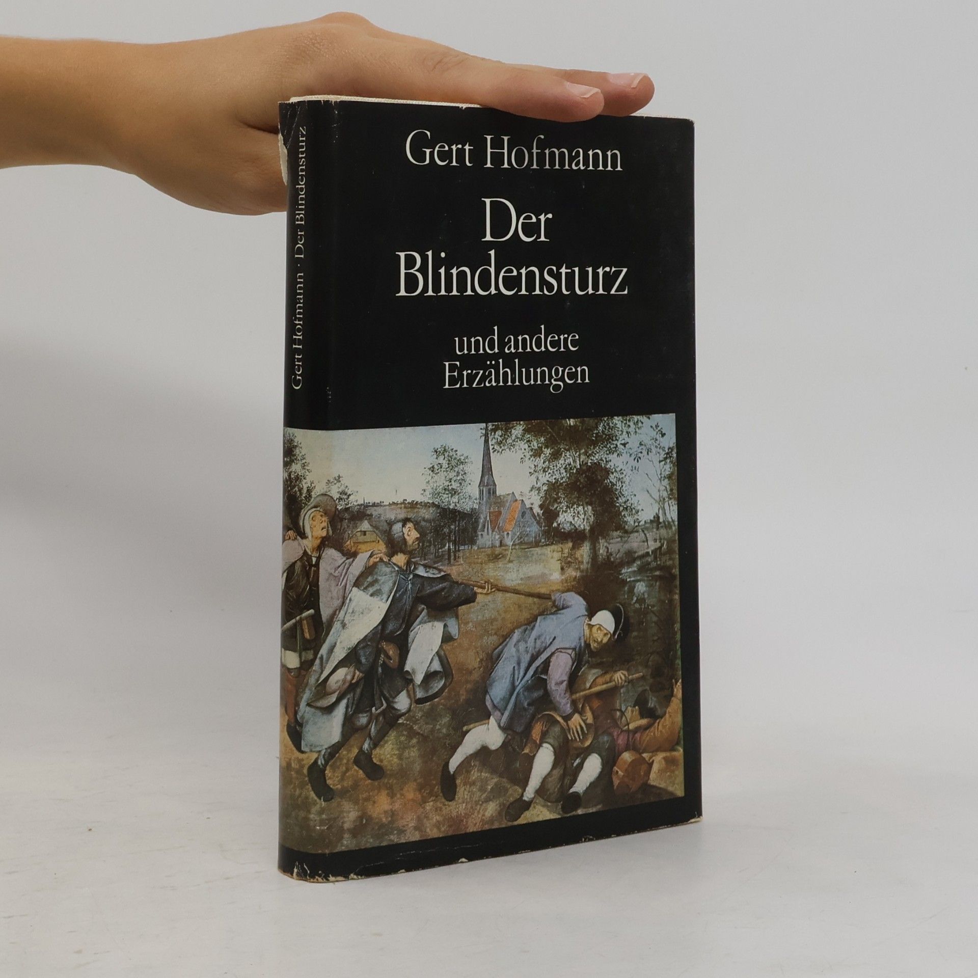Gert Hofmann Der Blindensturz