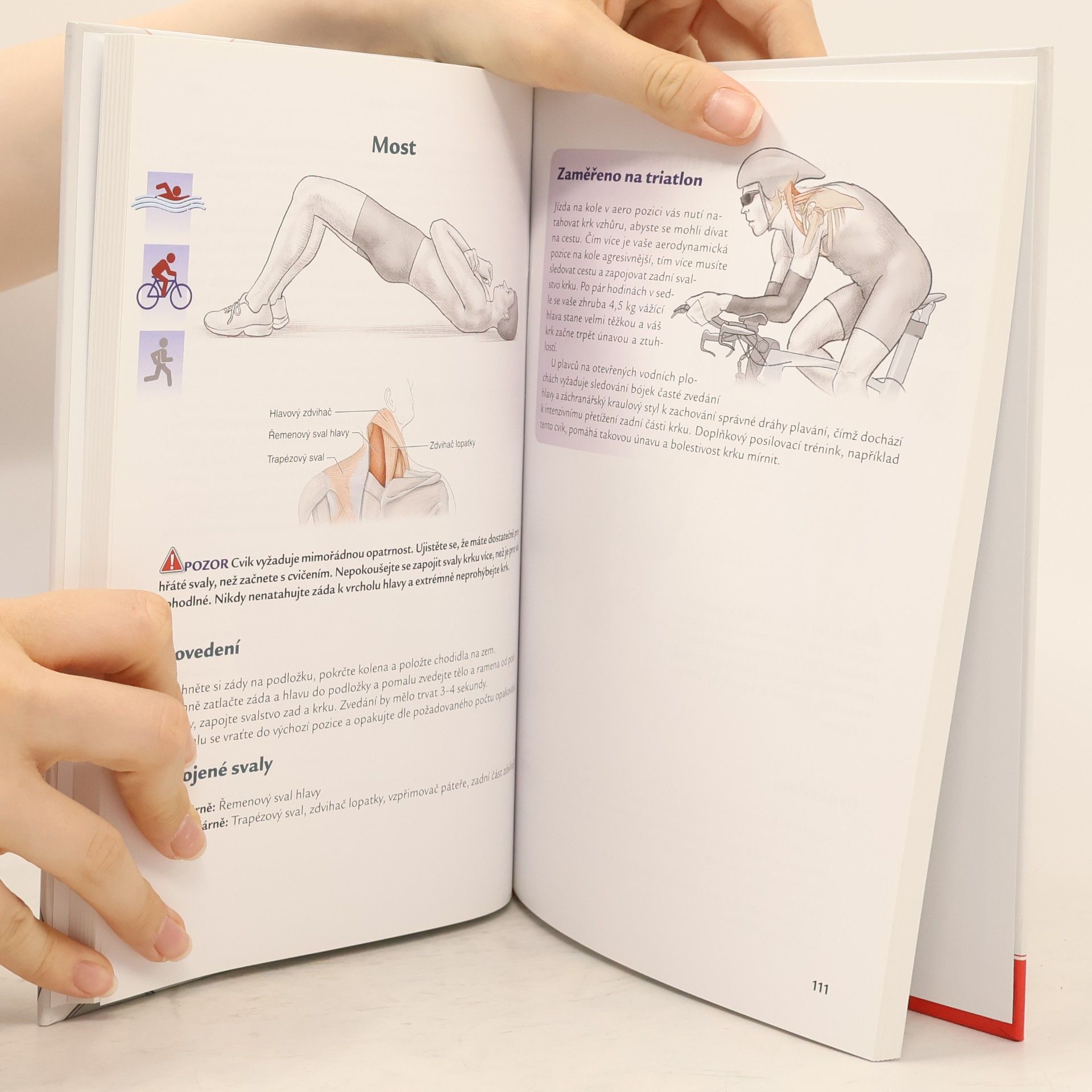 Mark Klion Triatlon. Anatomie