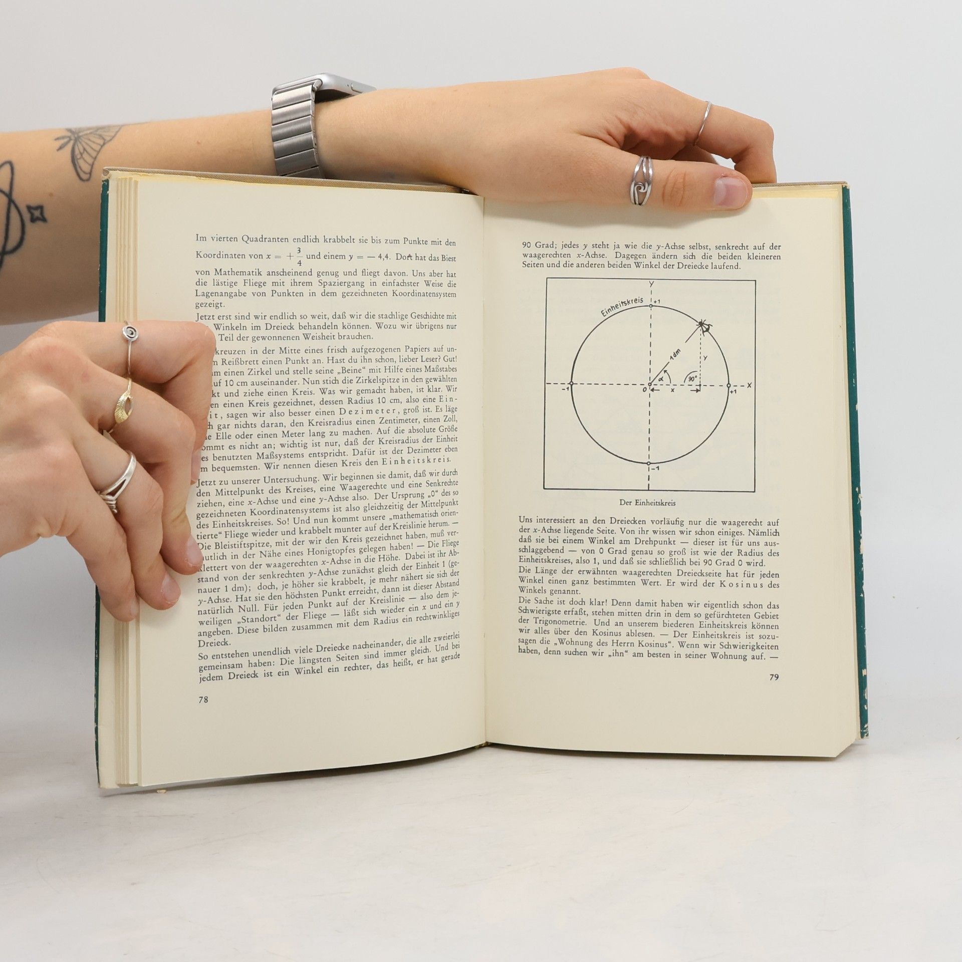 Alexander Niklitschek Im Zaubergarten der Mathematik