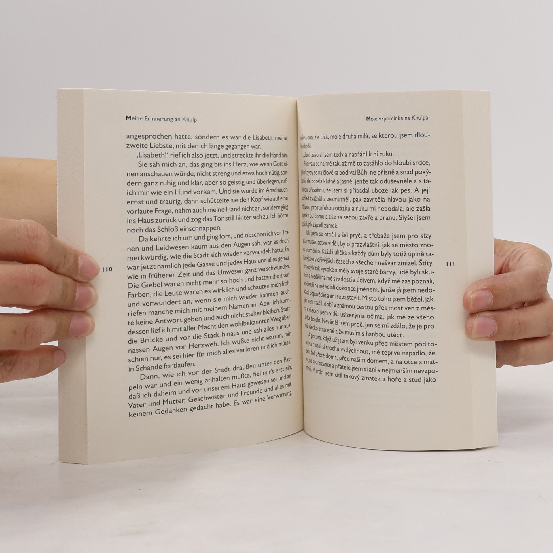 Hermann Hesse Knulp
