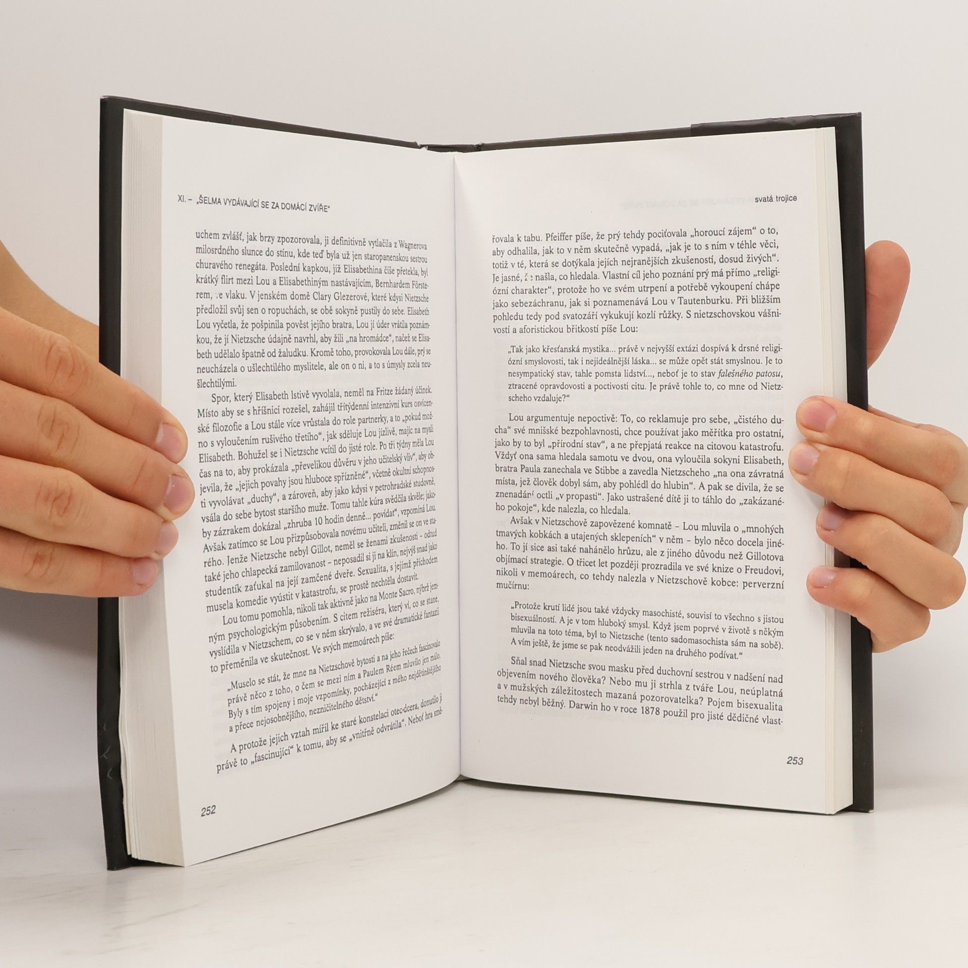 Joachim Köhler Tajemný Zarathustra. Biografie Friedricha Nietzscheho