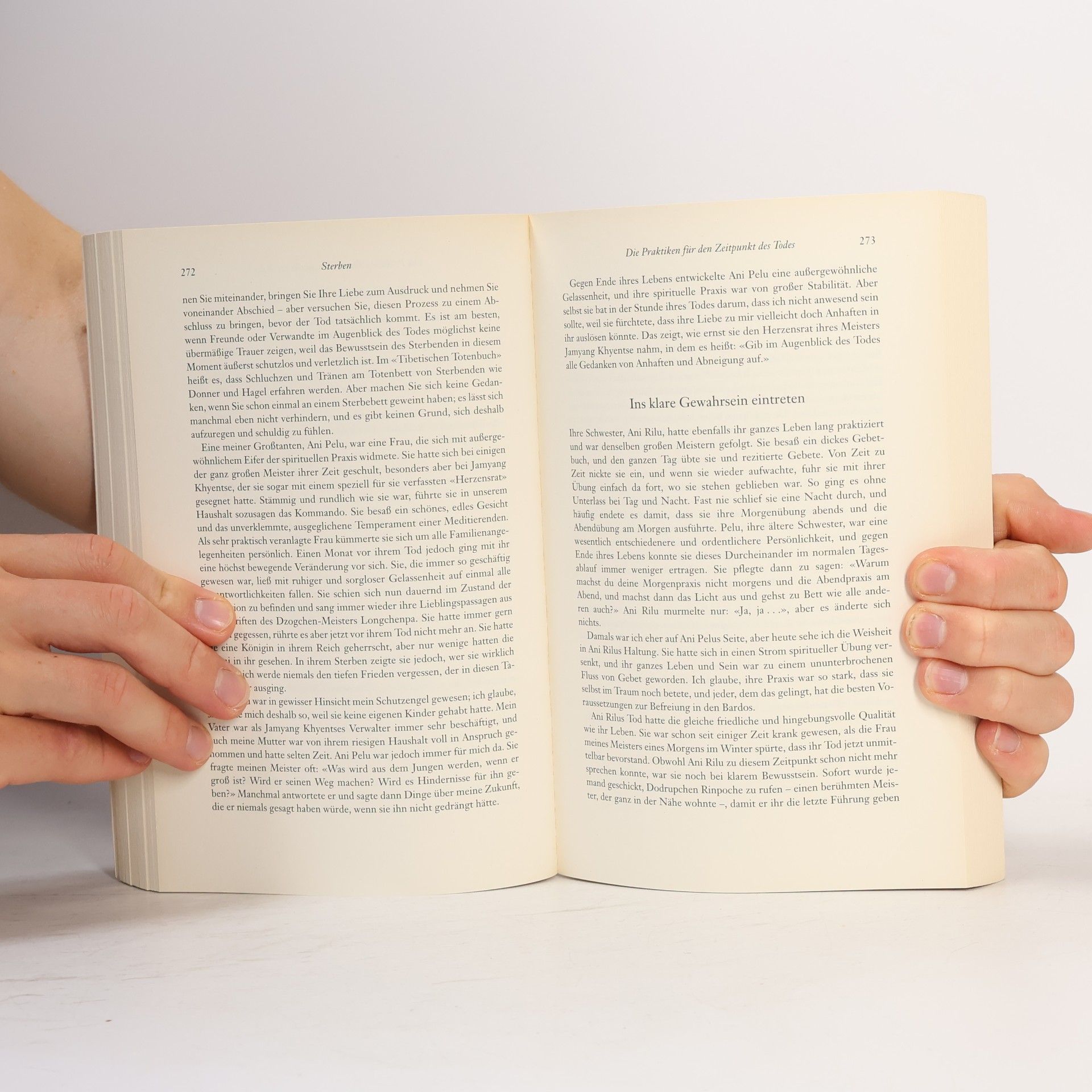 Sogyal Rinpoche Das tibetische Buch vom Leben und vom Sterben