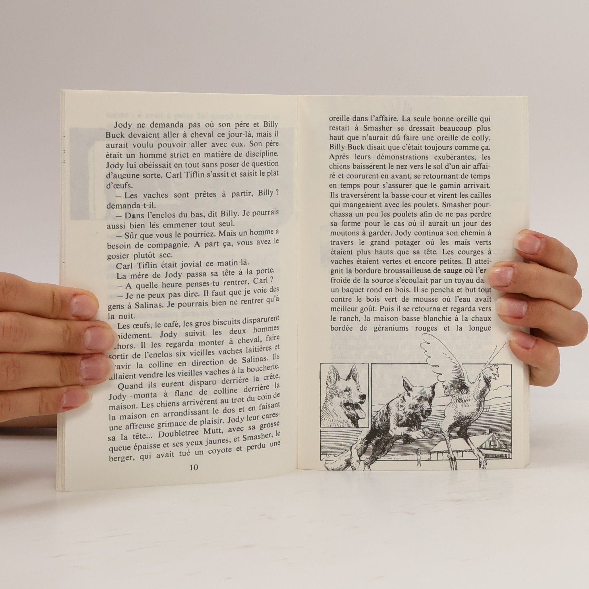 John Steinbeck Le Poney rouge