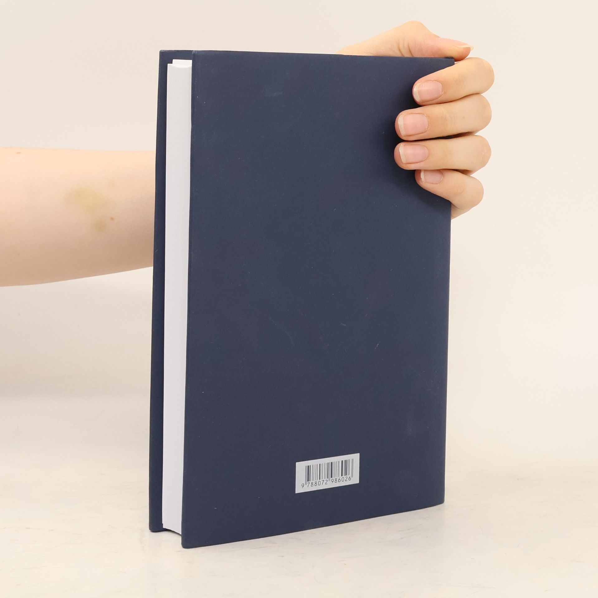 Pierfrancesco Basile Filosofie 19. a 20. století. I, Pragmatismus a analytická filosofie